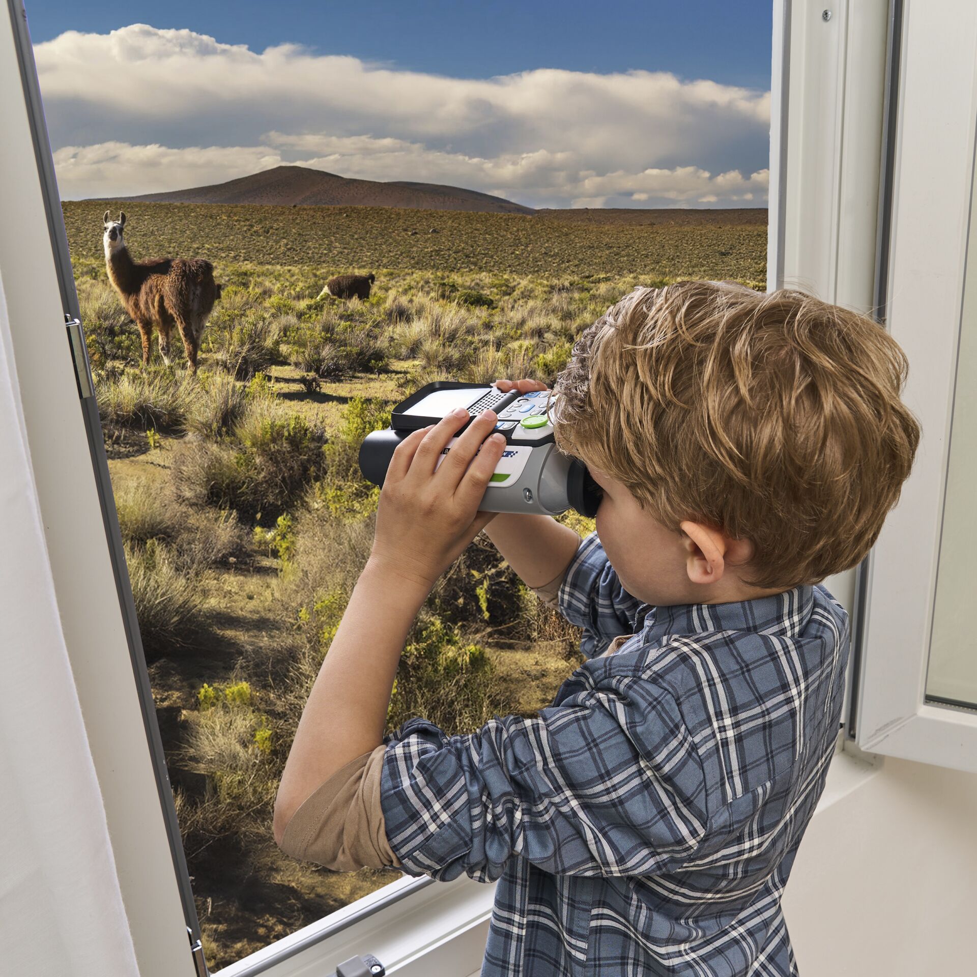 Photographie, Junge, Kind, Männlich, Person