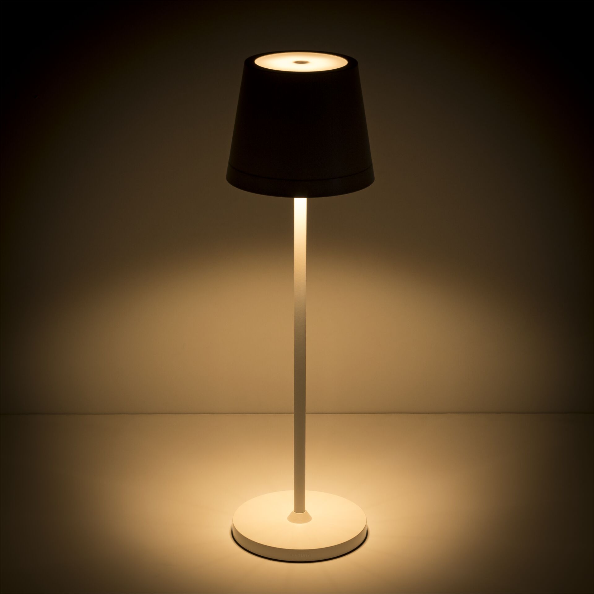 Lampe, Lampenschirm