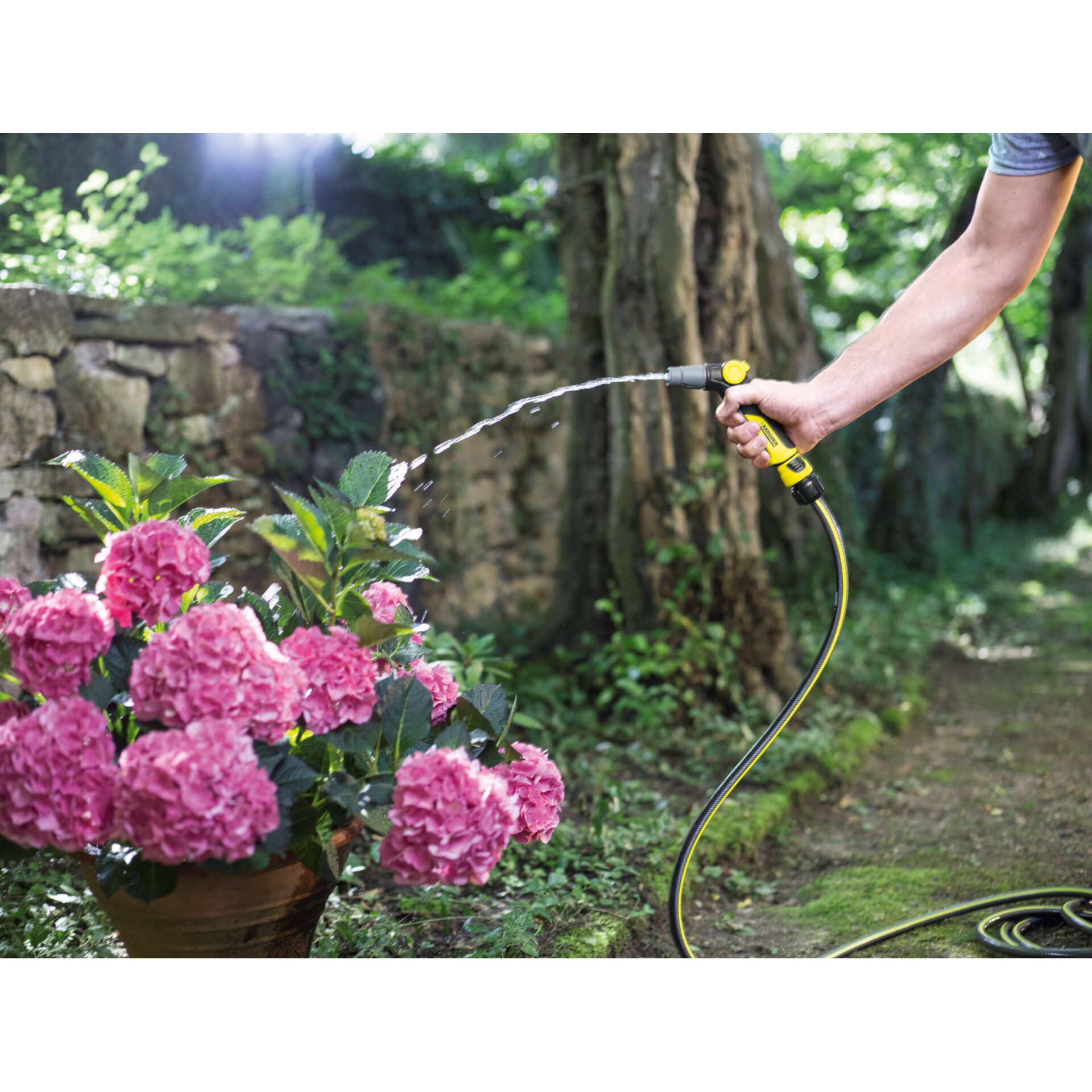 Drinnen, Innenarchitektur, Garten, Draußen, Blume, Drinnen, Innenarchitektur, Garten, Draußen, Blume