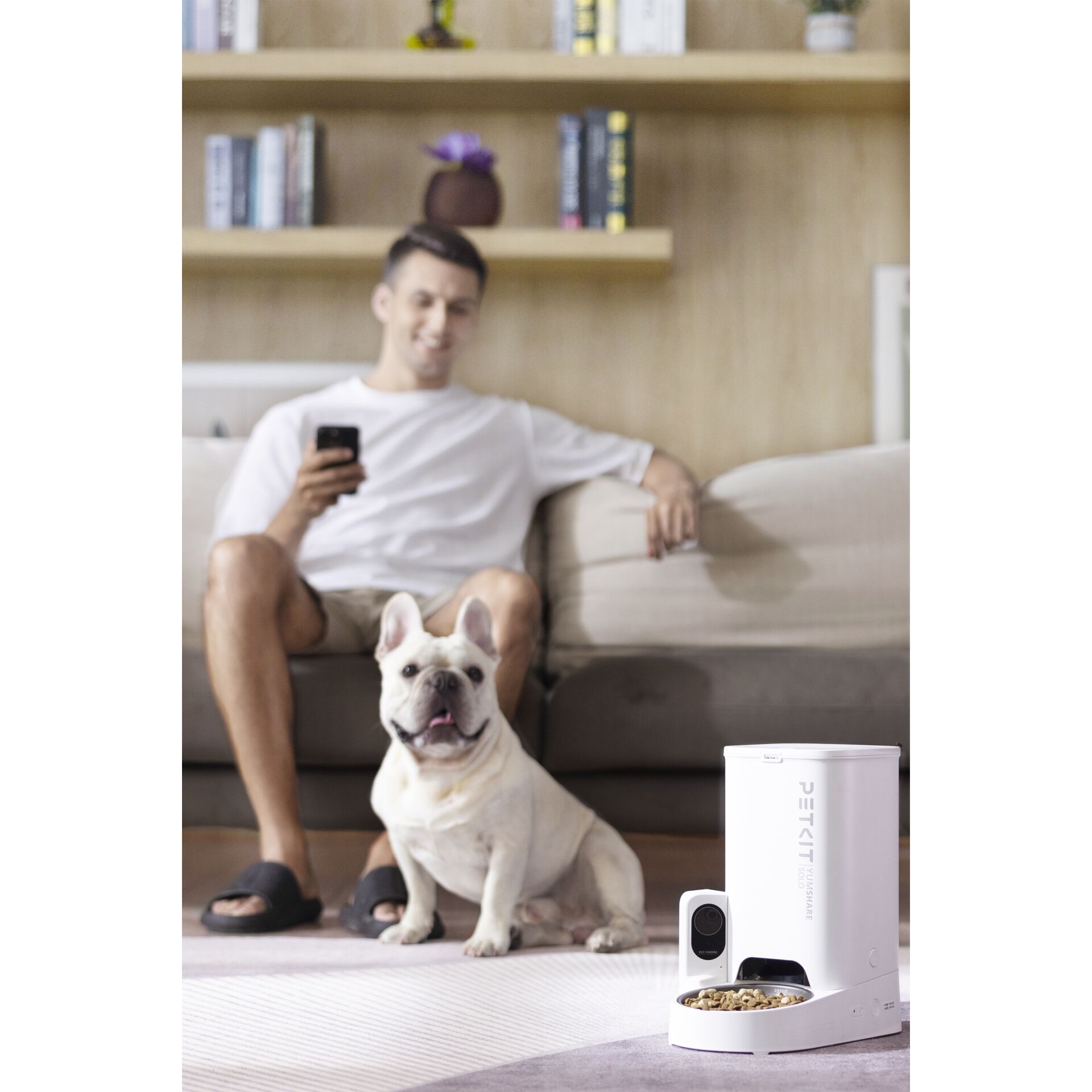 Erwachsener, Männlich, Mann, Person