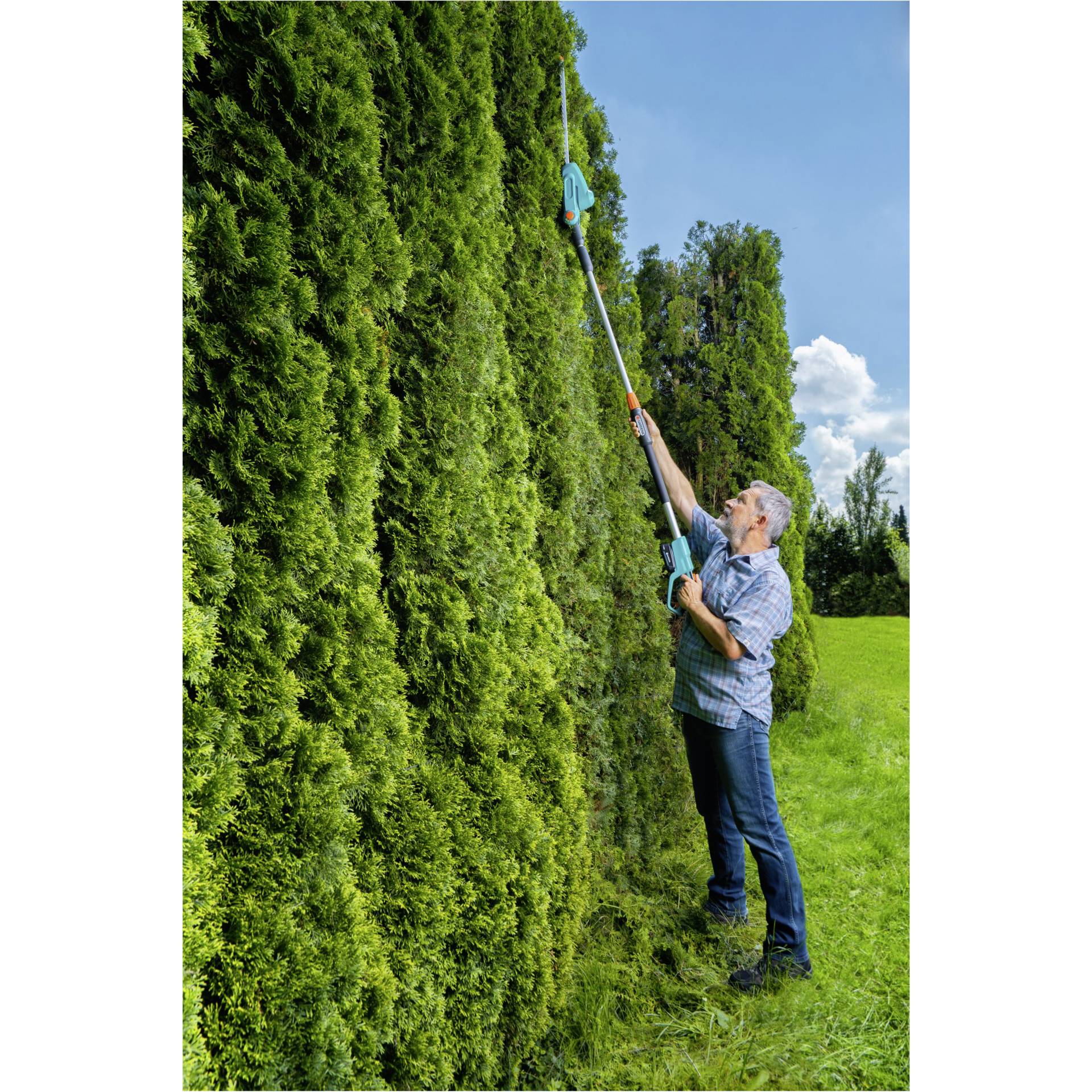 Hecke, Draußen, Innenarchitektur, Person, Garten
