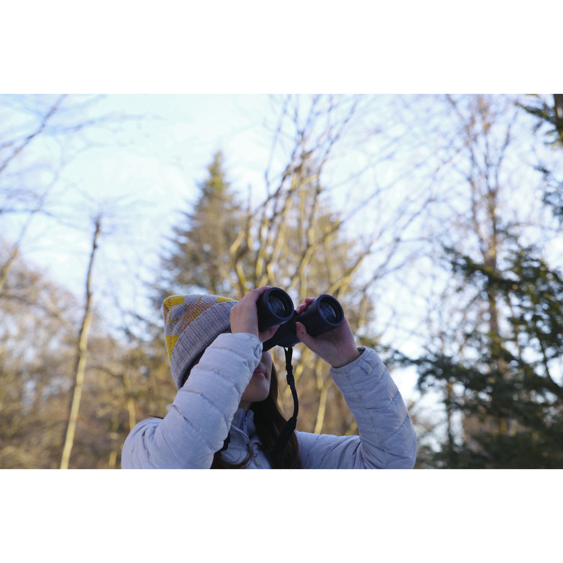 Photographie, Person, Portrait, Baum, Bewuchs