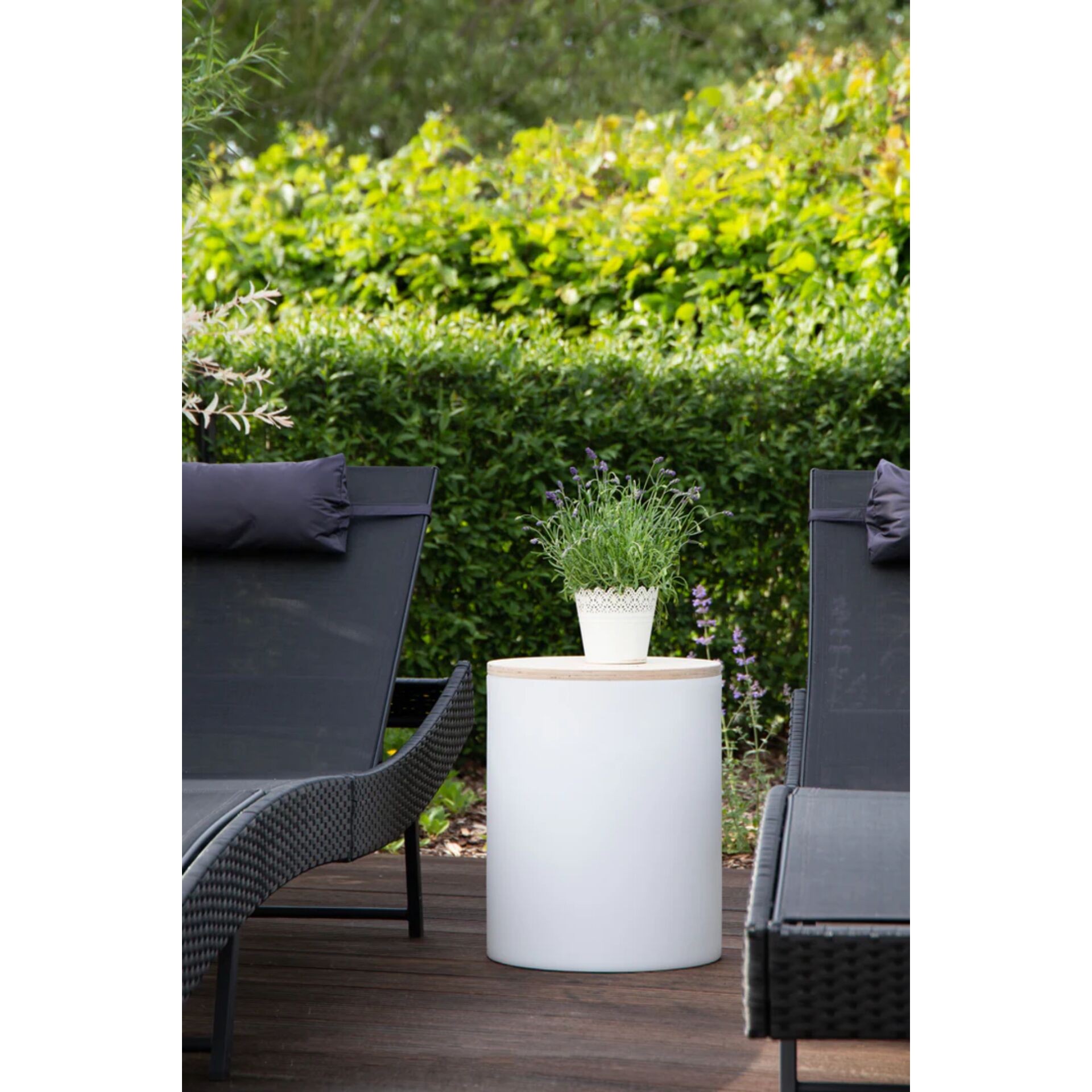 Innenarchitektur, Pflanze, Pflanze im Topf, Krug, Pflanzgefäß