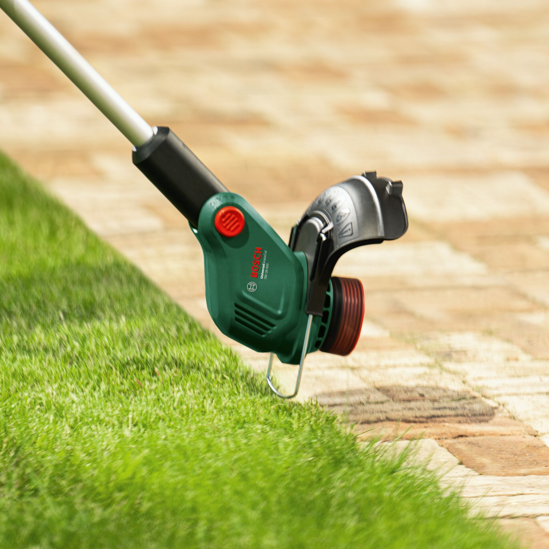 Gras, Rasen, Pflanze, Gerät