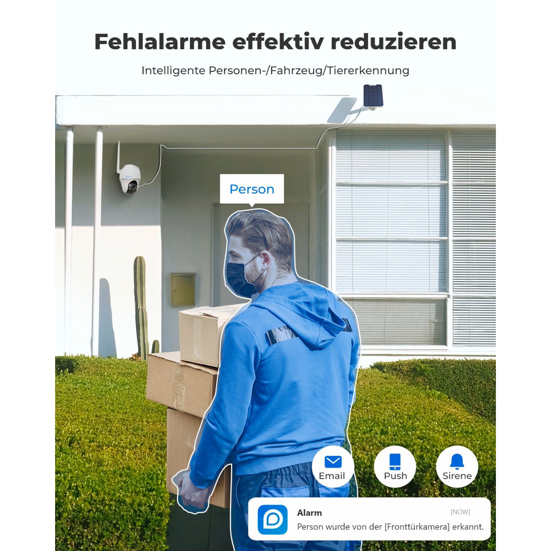 Kiste, Mantel, Gras, Karton, Person