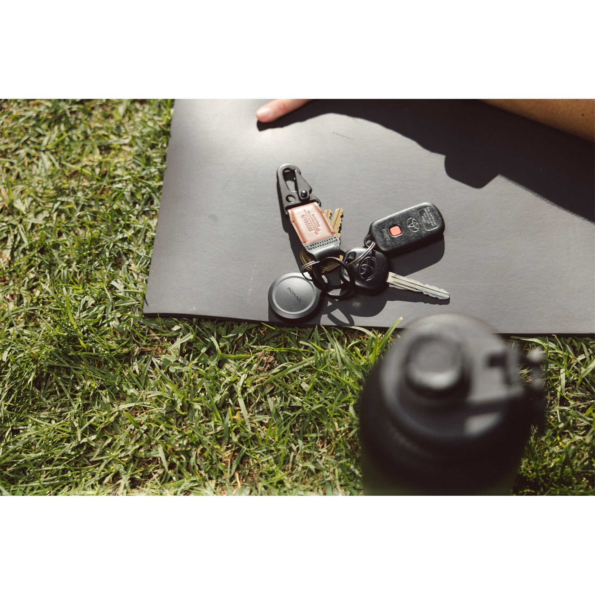 Photographie, Gras, Pflanze