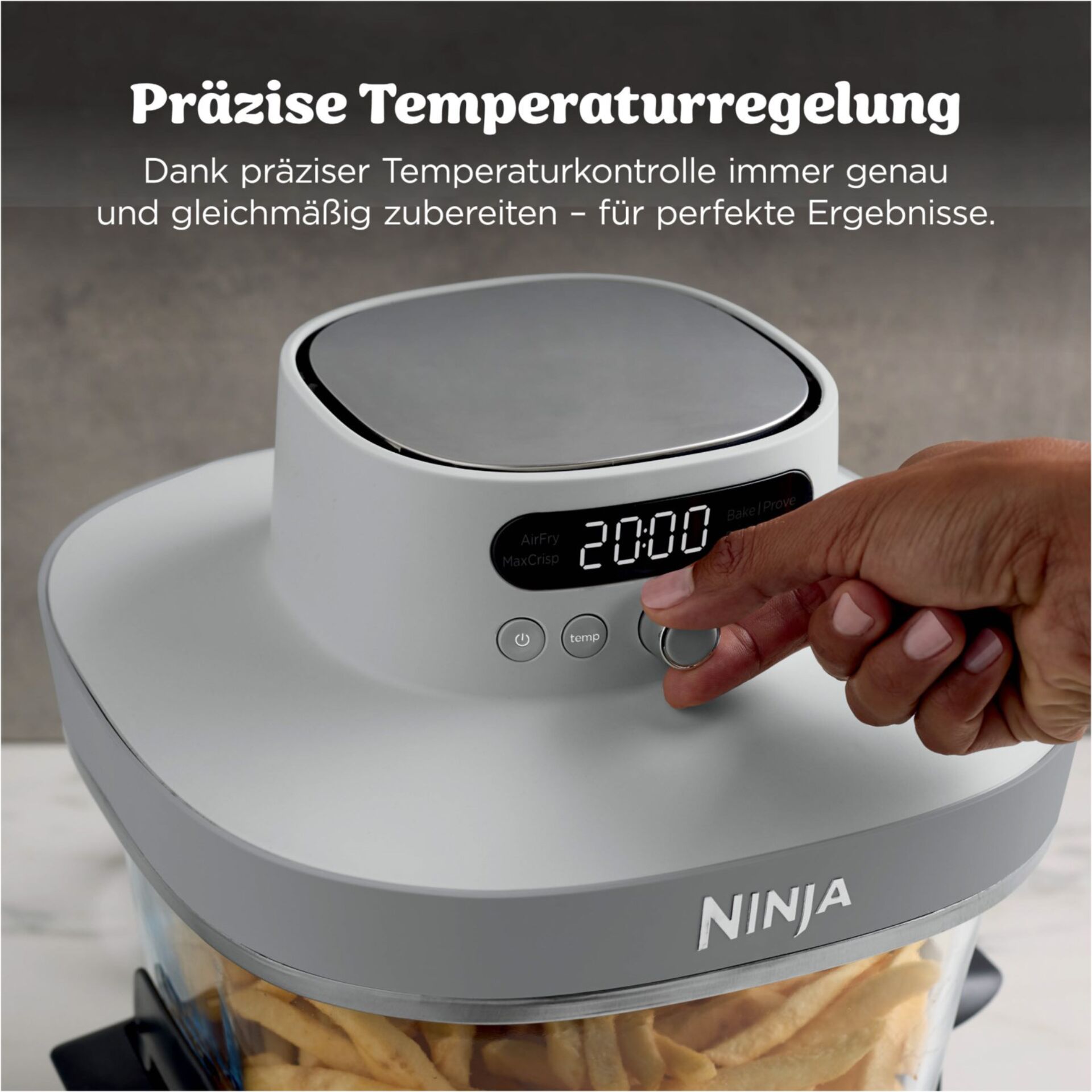 Küchenmaschine, Fritteuse, Temperaturregler, Ninja, Frittierkorb