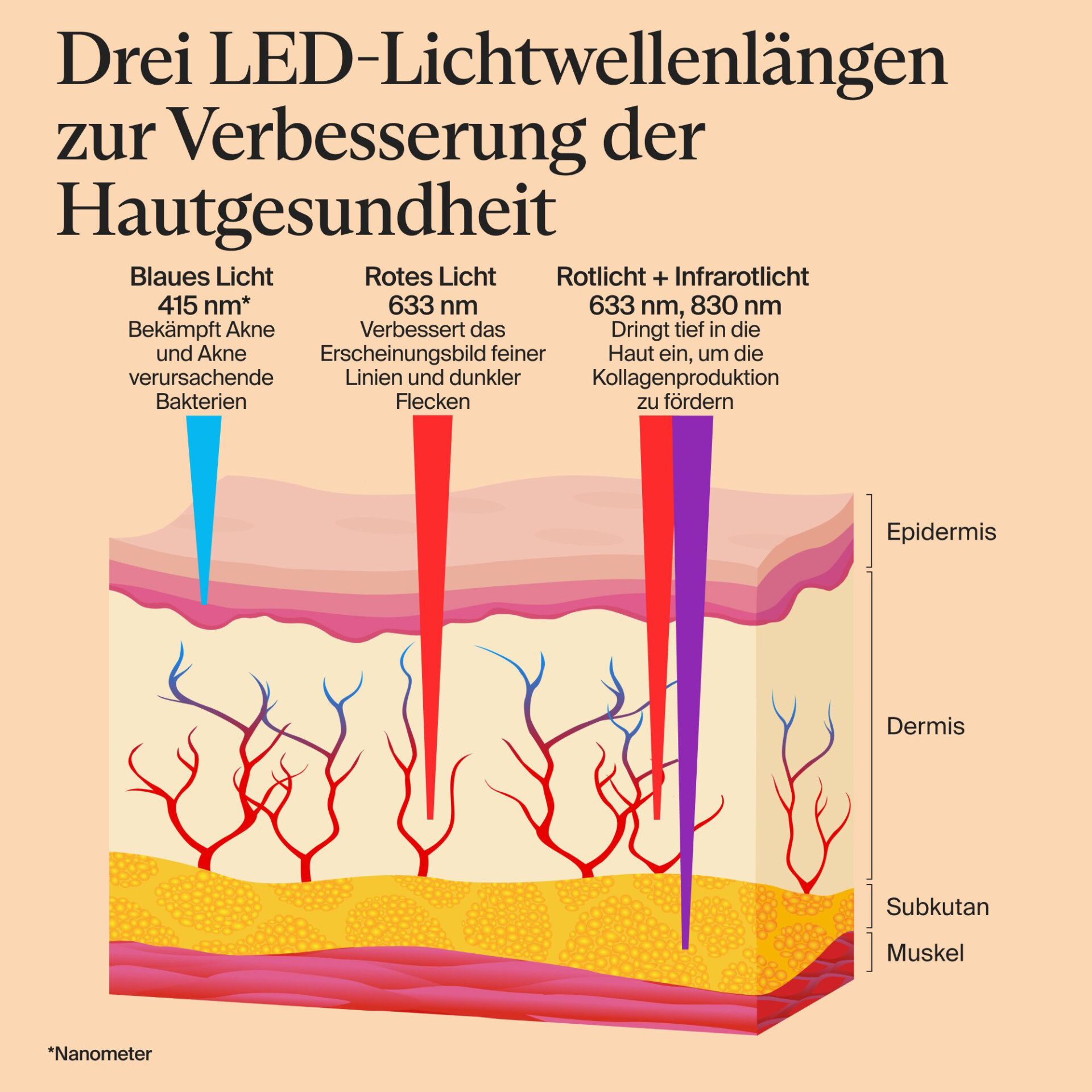 LED-Lichtwellen, Hautgesundheit, Infografik, Dermis-Epidermis, Nanometer