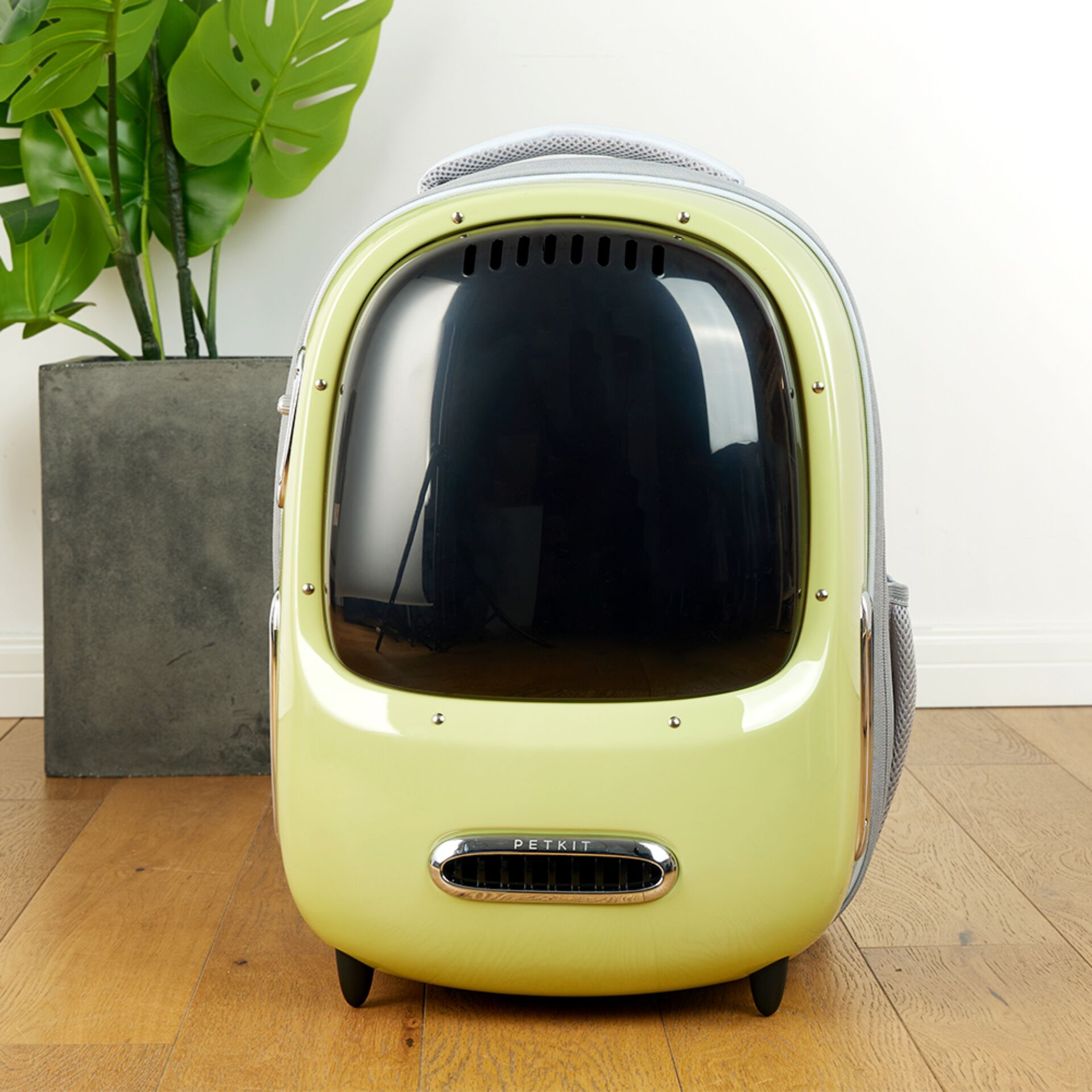 Pflanze, Auto, Fahrzeug, Drinnen, Innenarchitektur