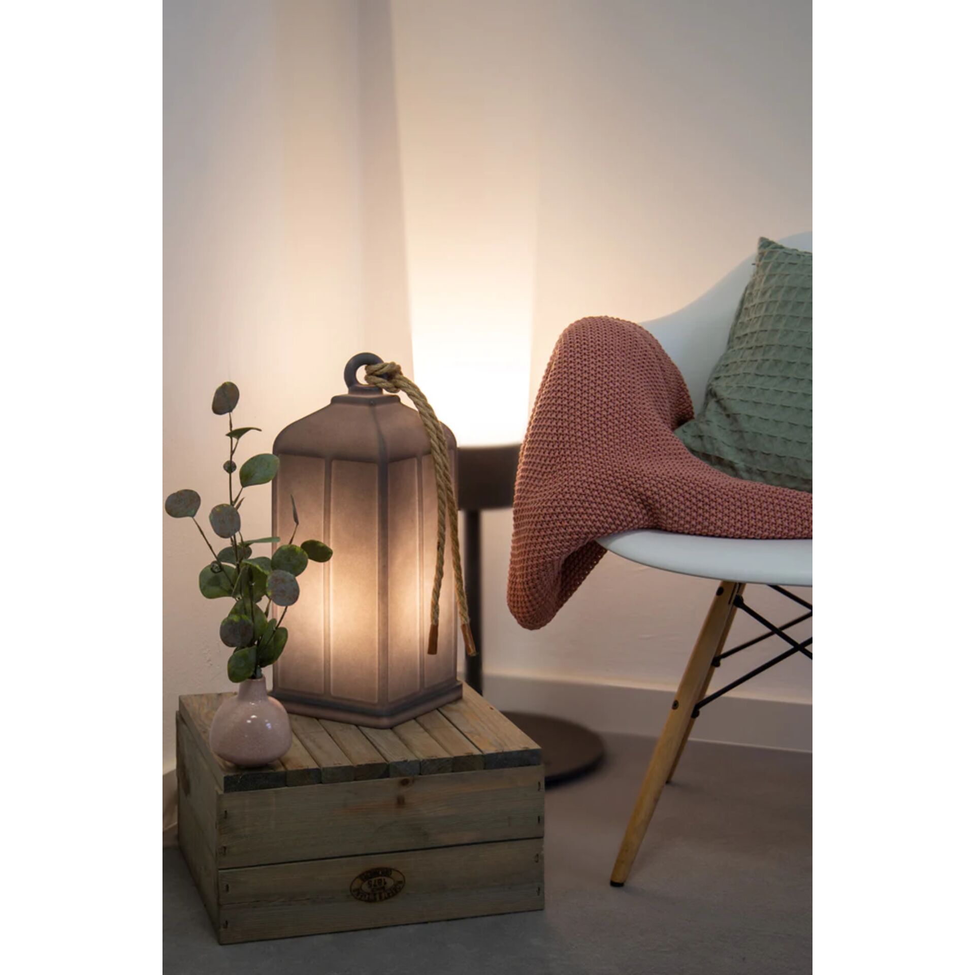 Lampe, Drinnen, Innenarchitektur, Pflanze, Kiste