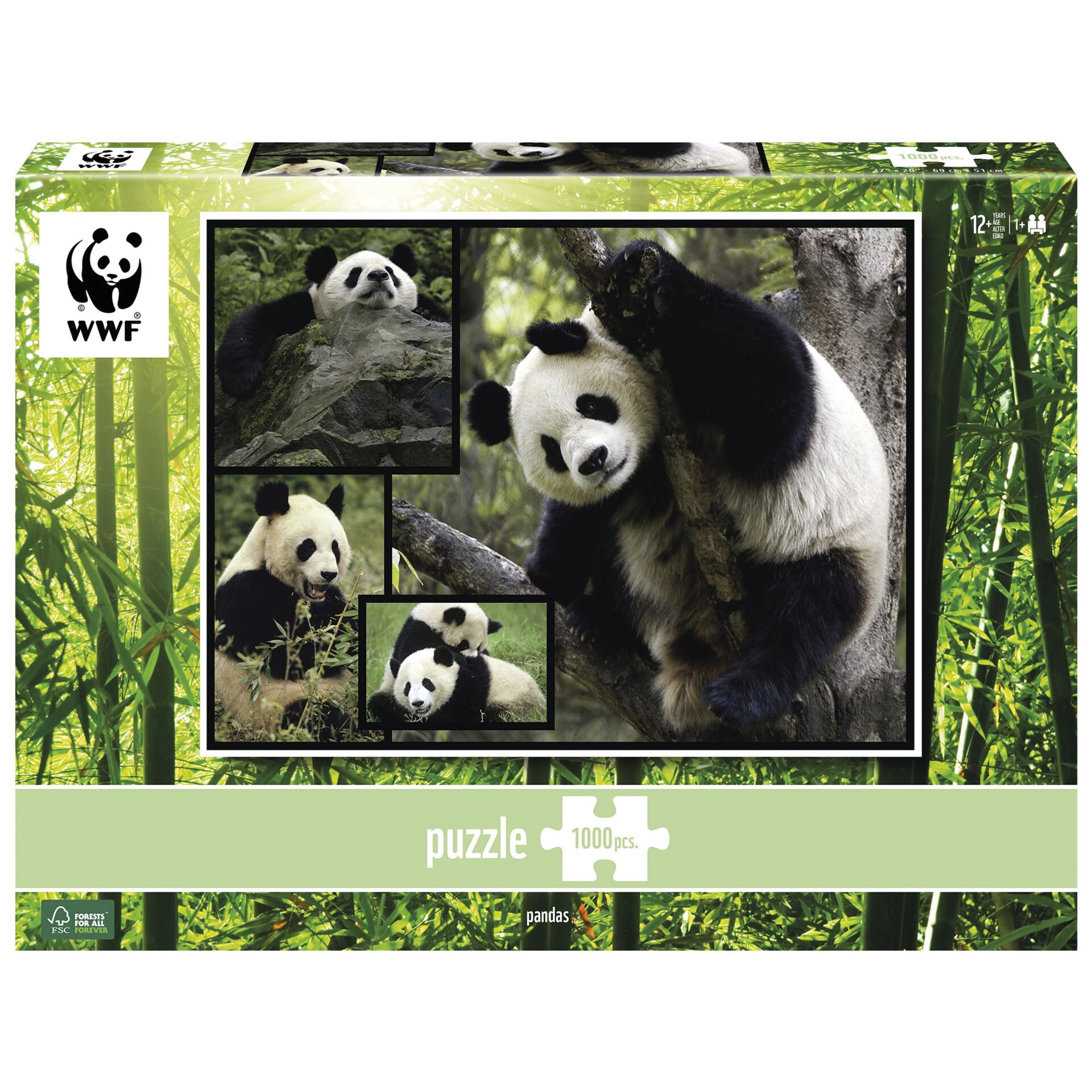 Tier, Bär, Großer Panda, Säugetier, Tierwelt
