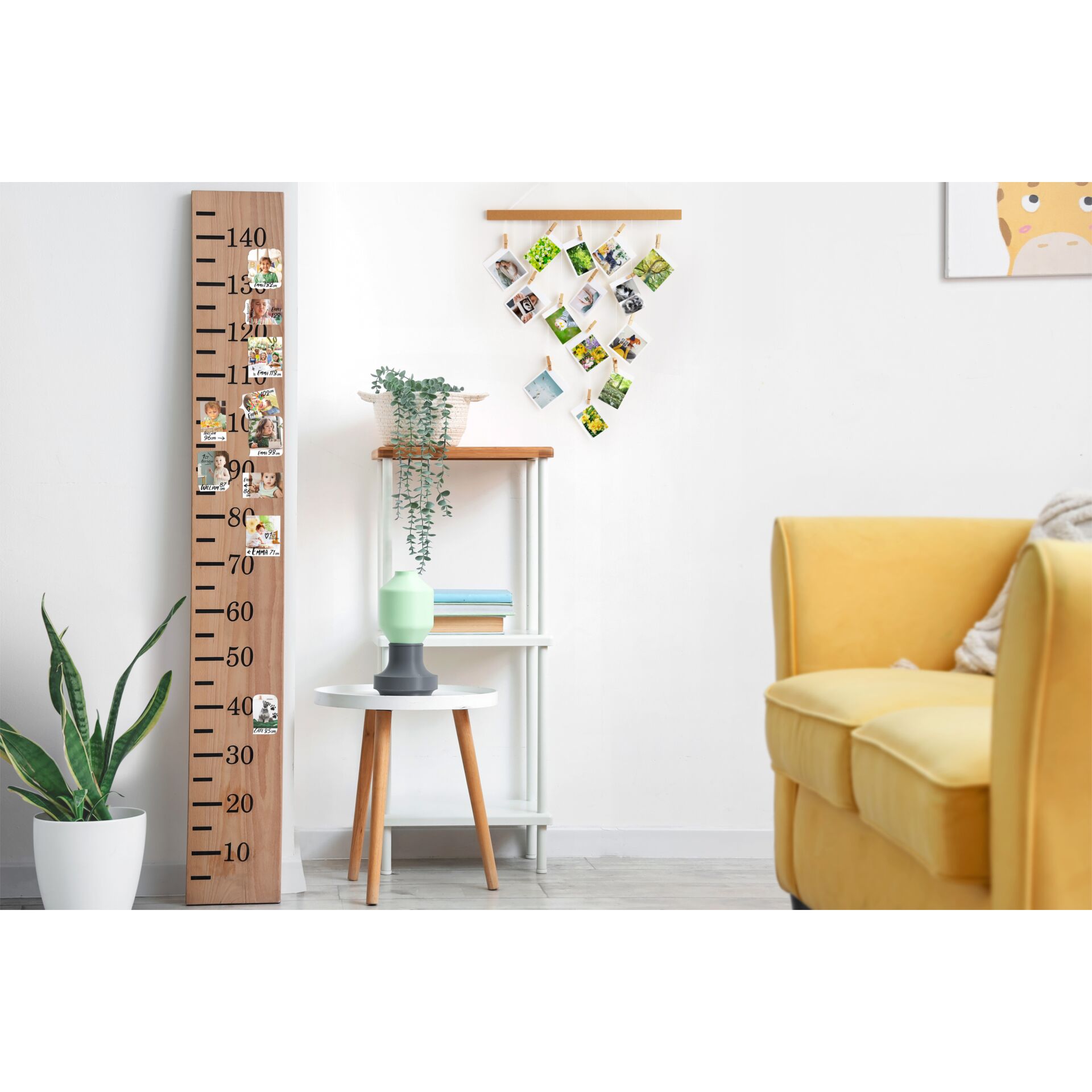 Drinnen, Innenarchitektur, Pflanze, Pflanze im Topf, Mobiliar