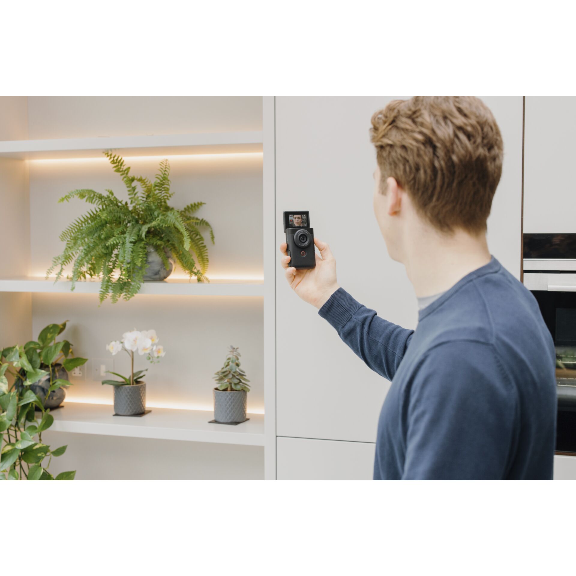 Pflanze, Pflanze im Topf, Photographie, Pflanzgefäß, Regal