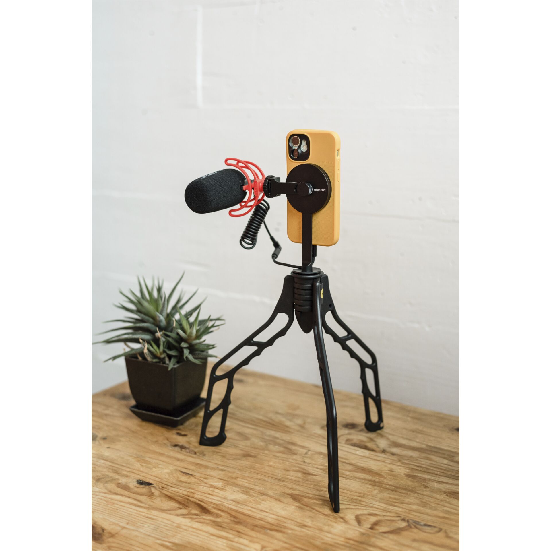 Elektrisches Gerät, Mikrophon, Pflanze