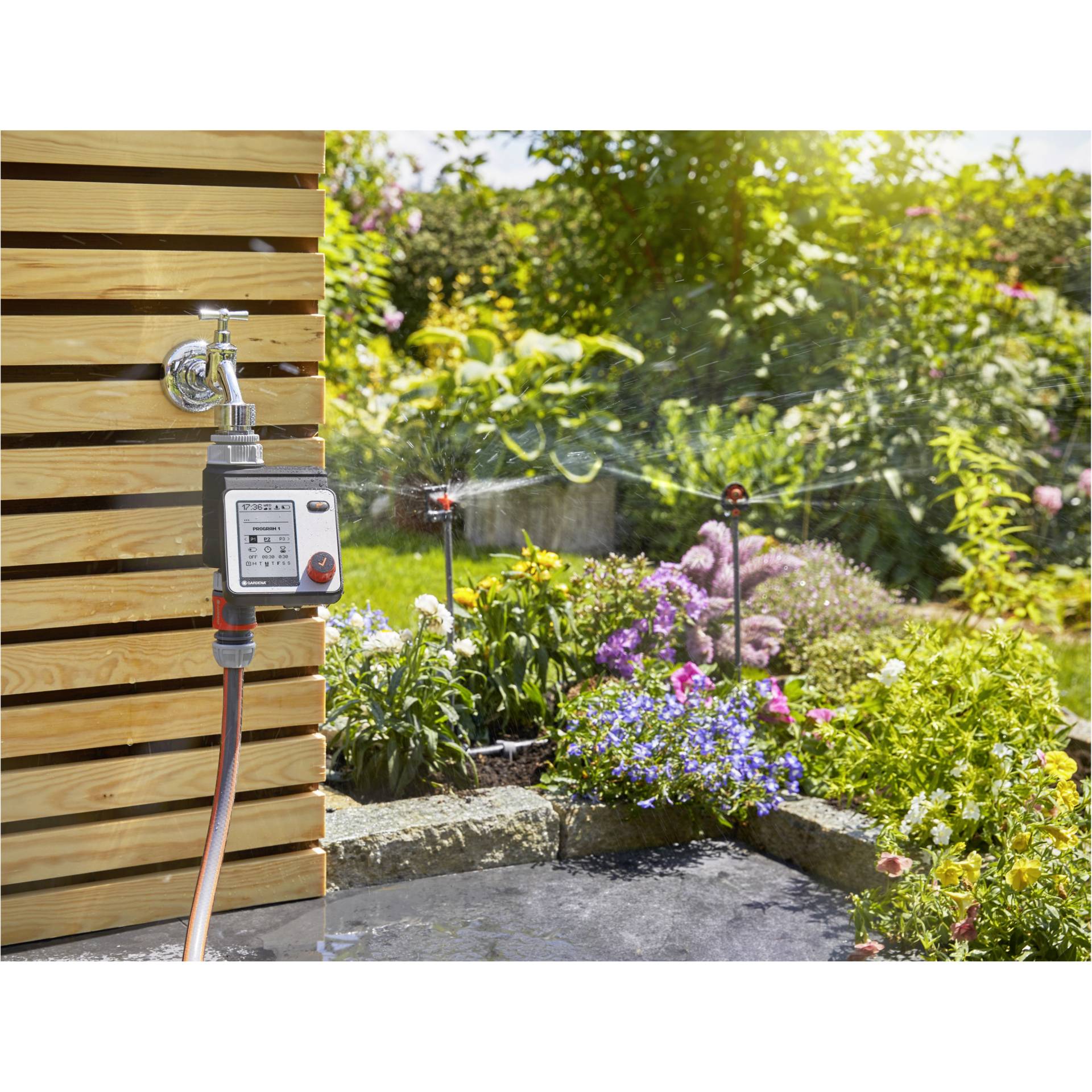 Drinnen, Innenarchitektur, Garten, Natur, Draußen