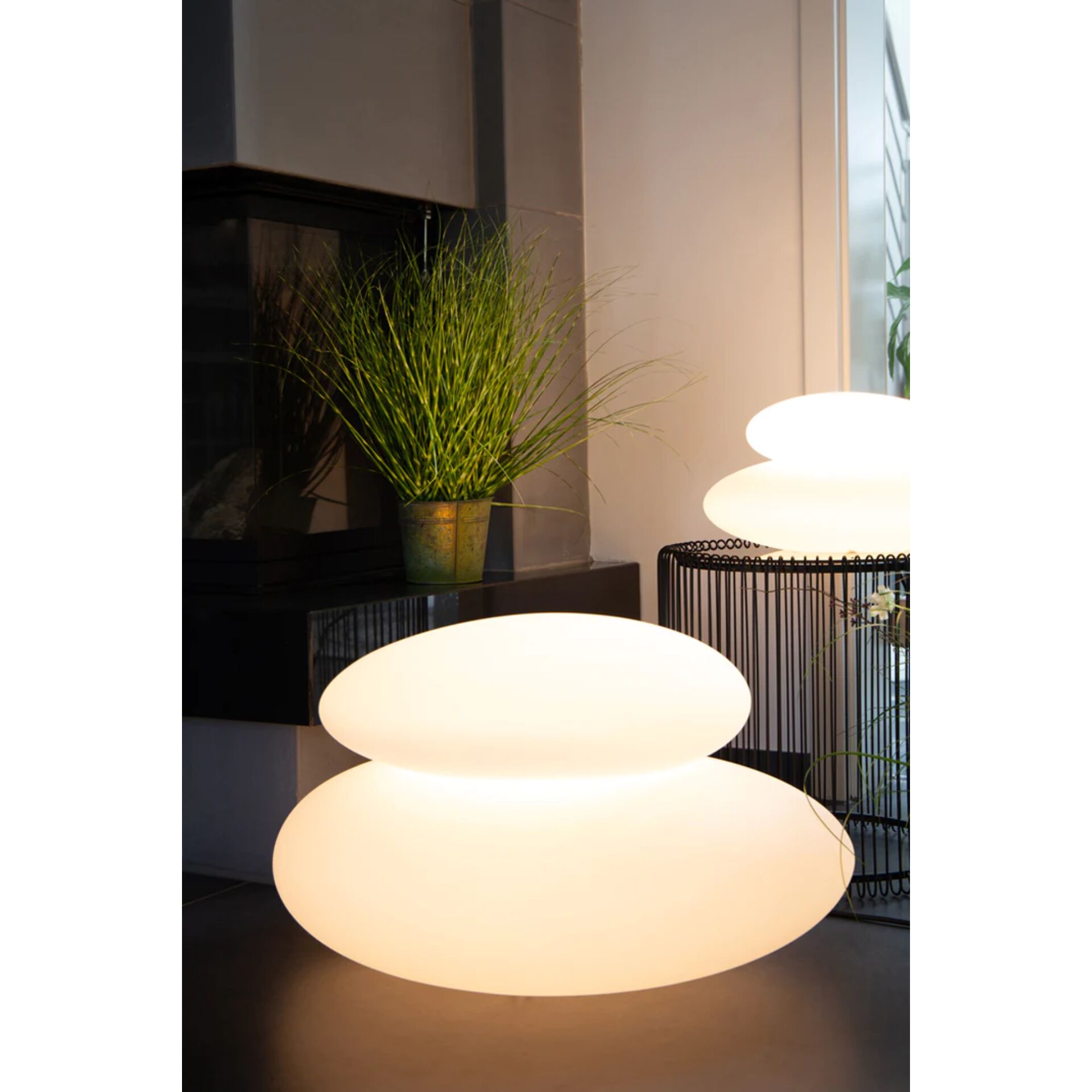 Lampe, Pflanze, Lampenschirm