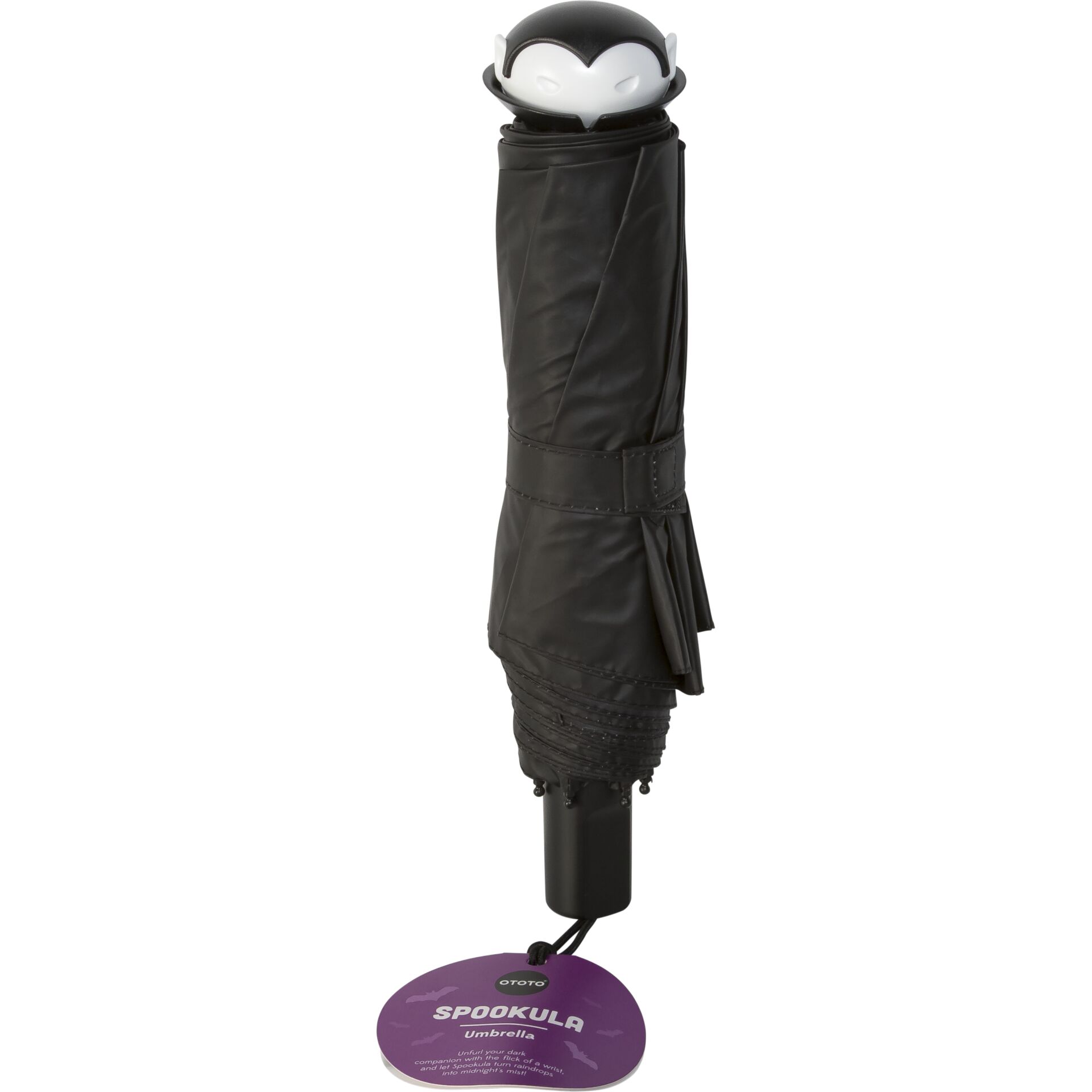 Elektrisches Gerät, Mikrophon