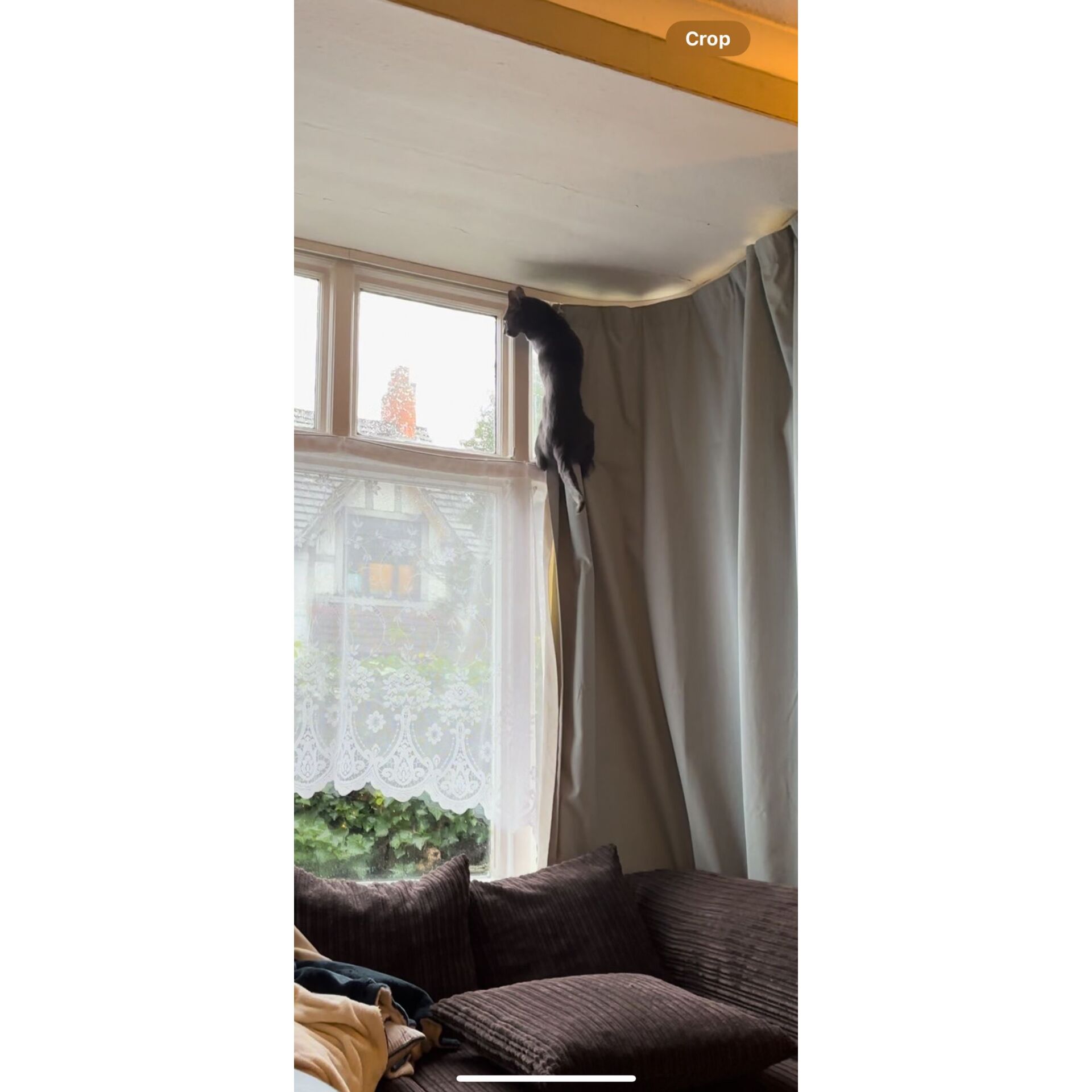 Drinnen, Innenarchitektur, Fenster