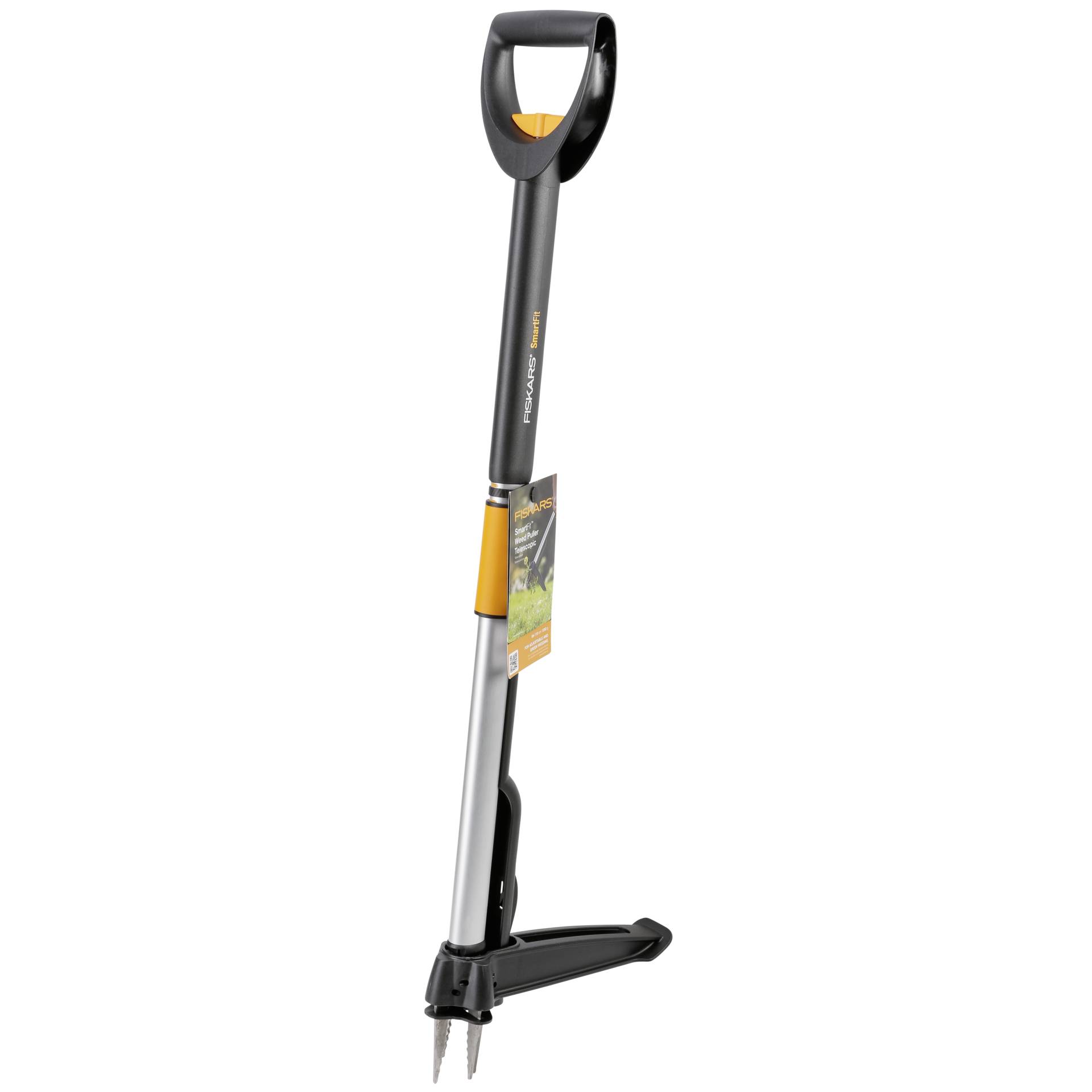 Roller, Transport, Fahrzeug