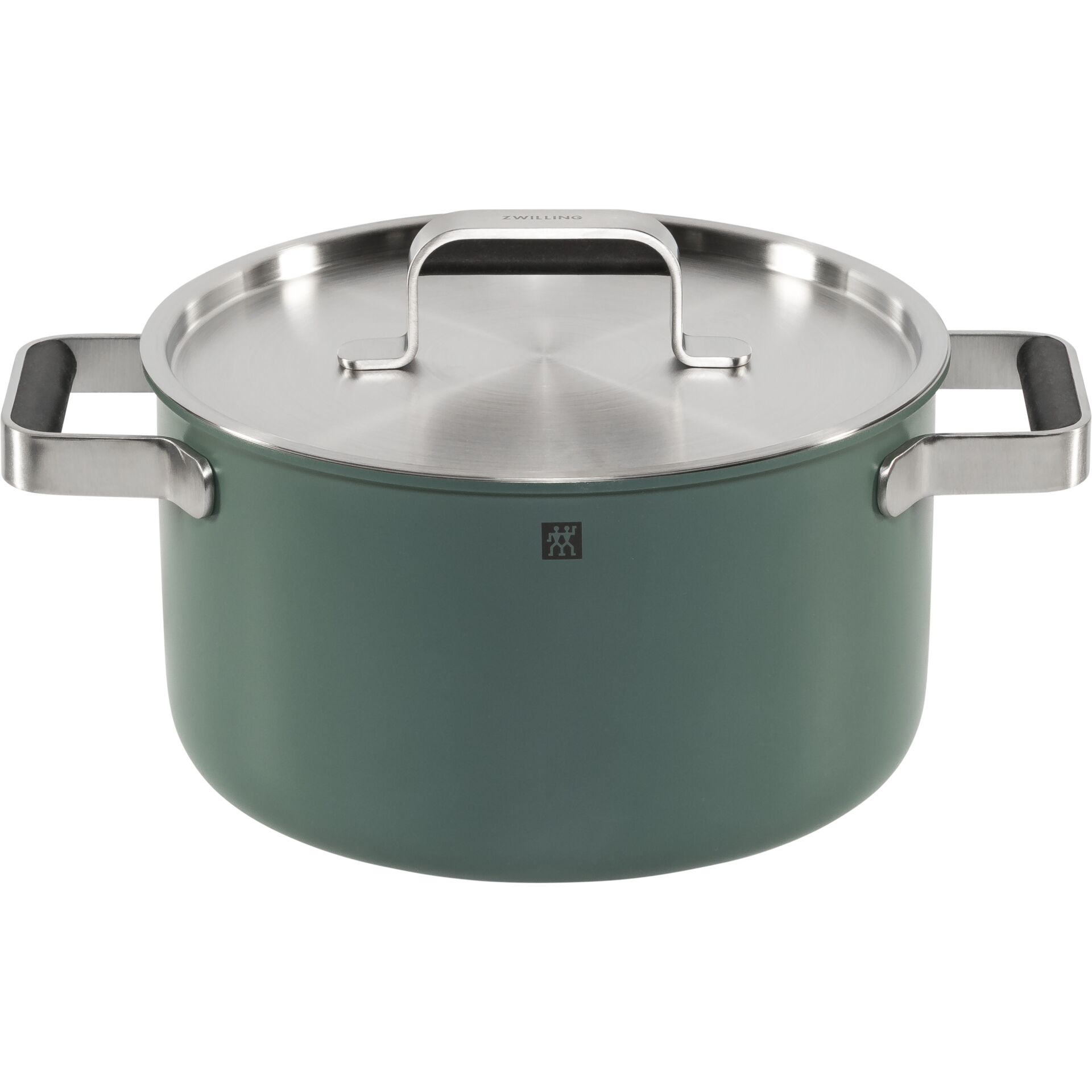Topf, Kochtopf, Edelstahl, Grün, Induktionsgeeignet