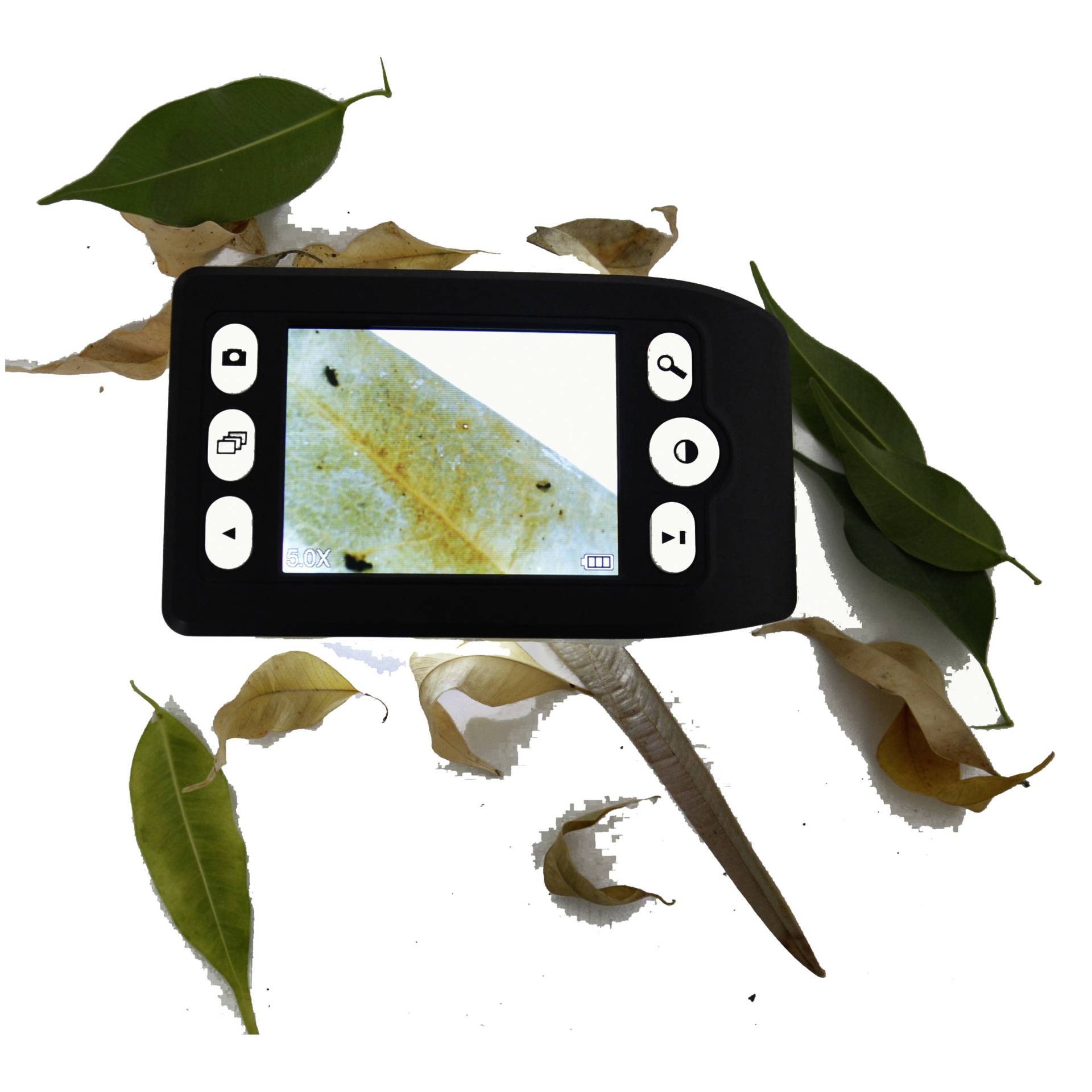 Blatt, Computerausrüstung, Überwachen, Bildschirm