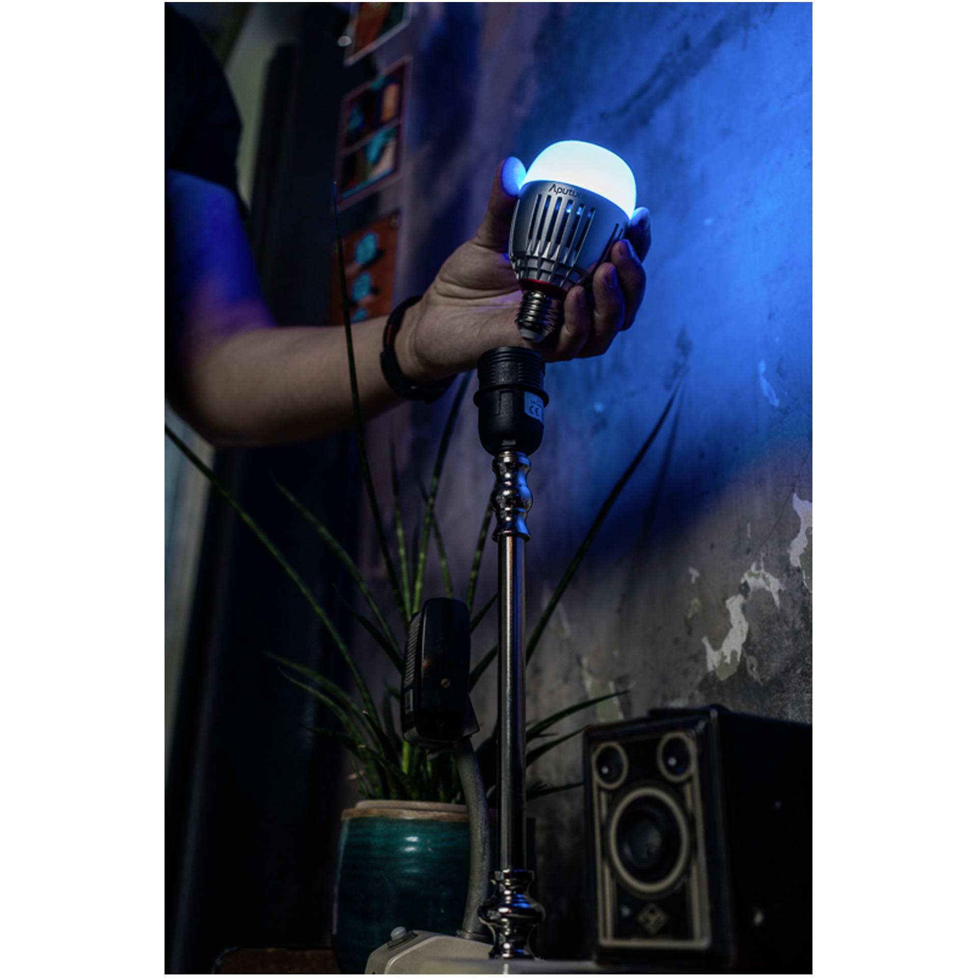 Elektrisches Gerät, Mikrophon, Licht