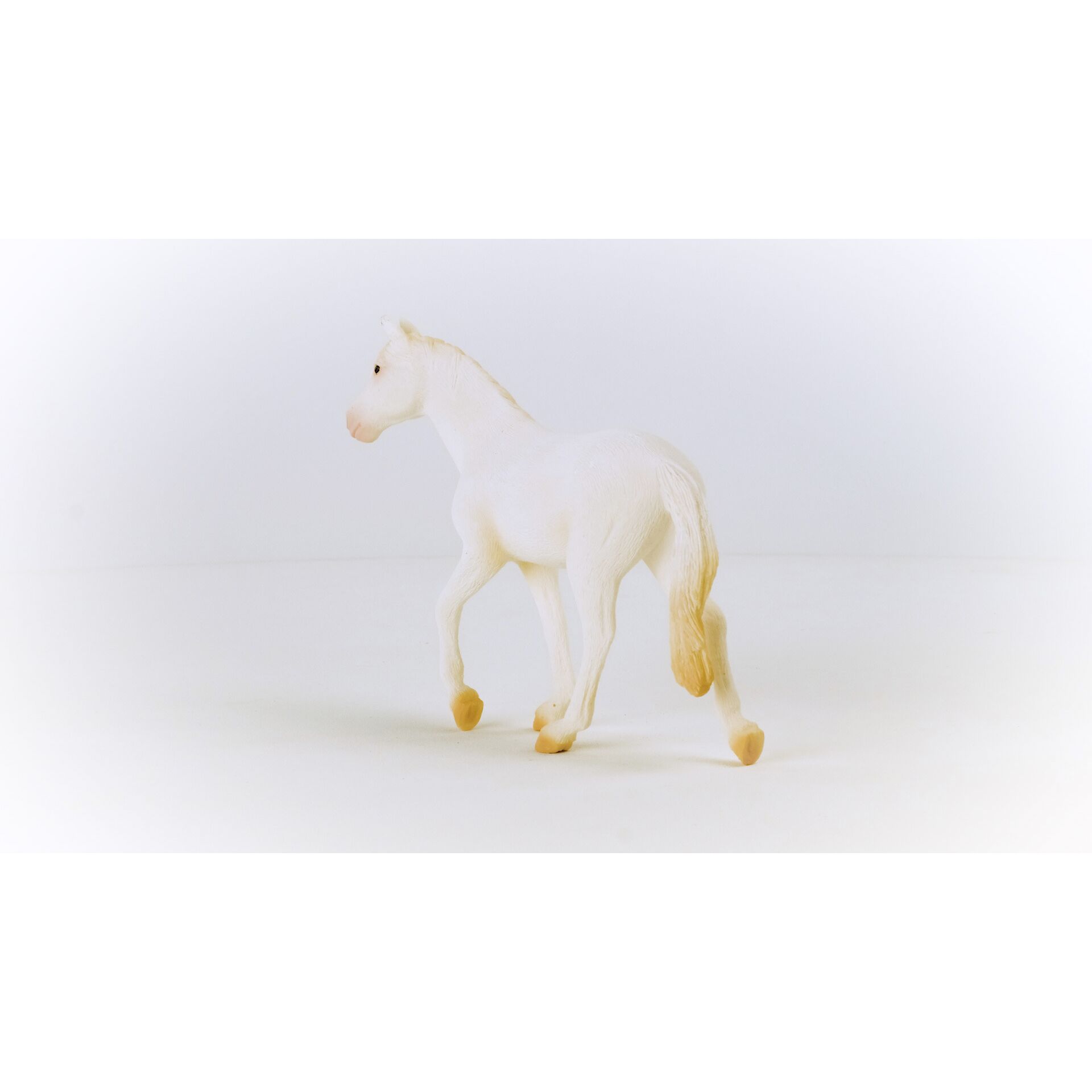 Tier, Pferd, Säugetier, Colt Horse, Porzellan