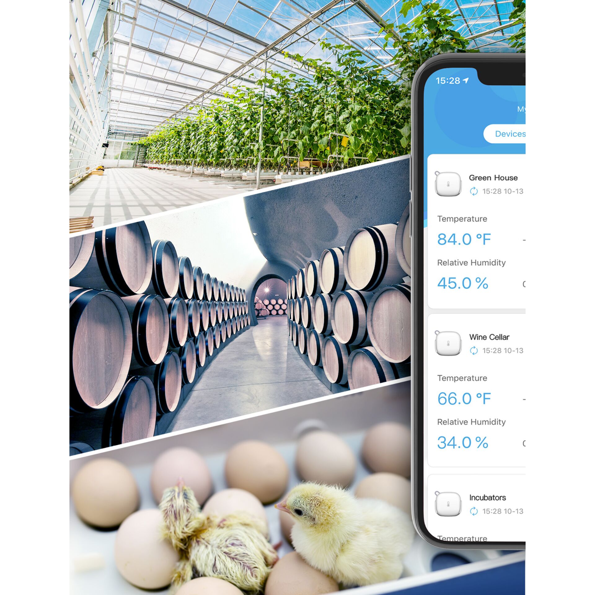 Hühnchen, Geflügel, Elektronik, Telefon, Handy