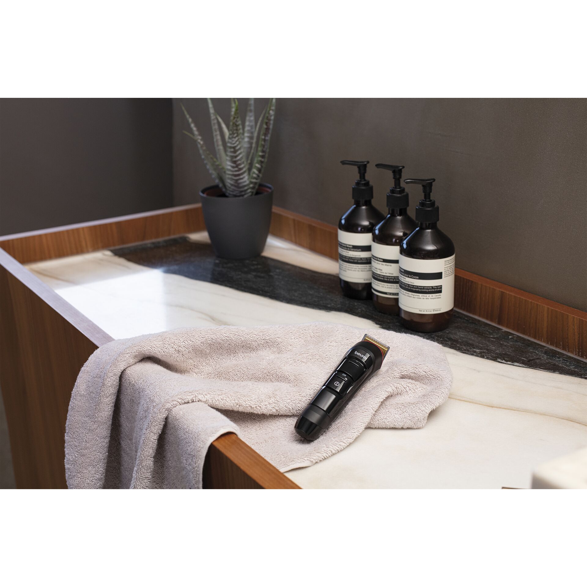 Pflanze, Drinnen, Innenarchitektur