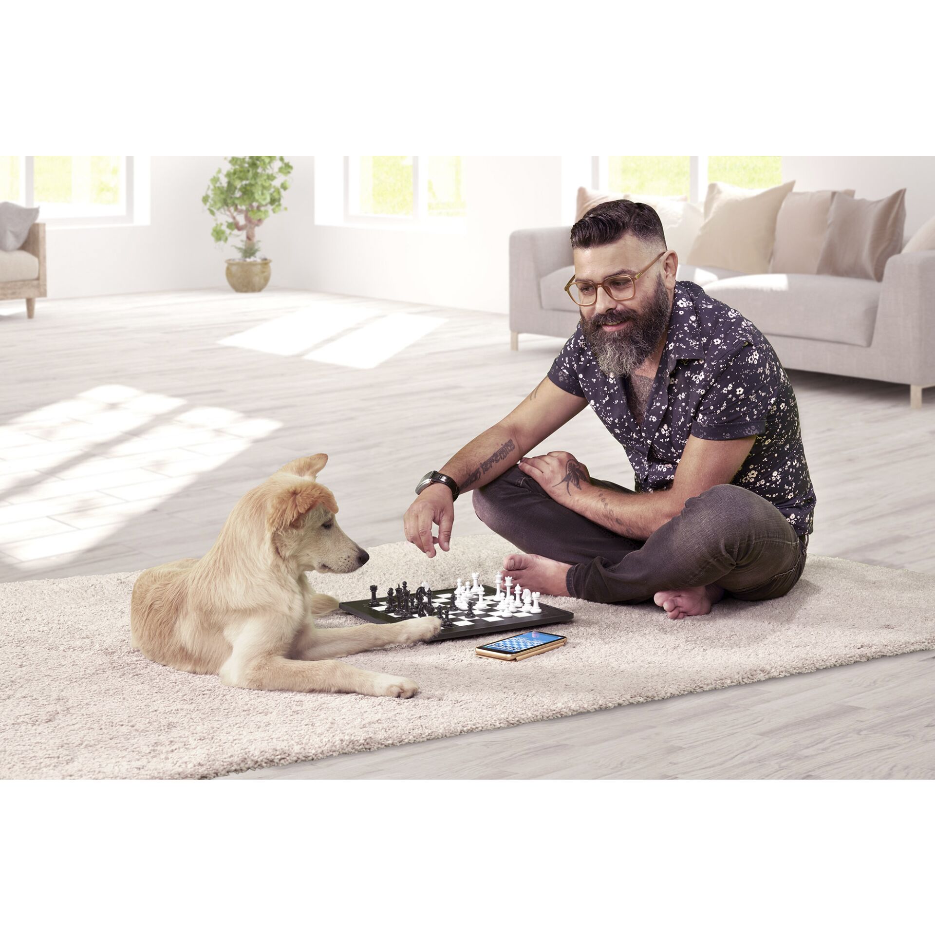 Schach, Spiel, Sitzen, Inneneinrichtung, Hund