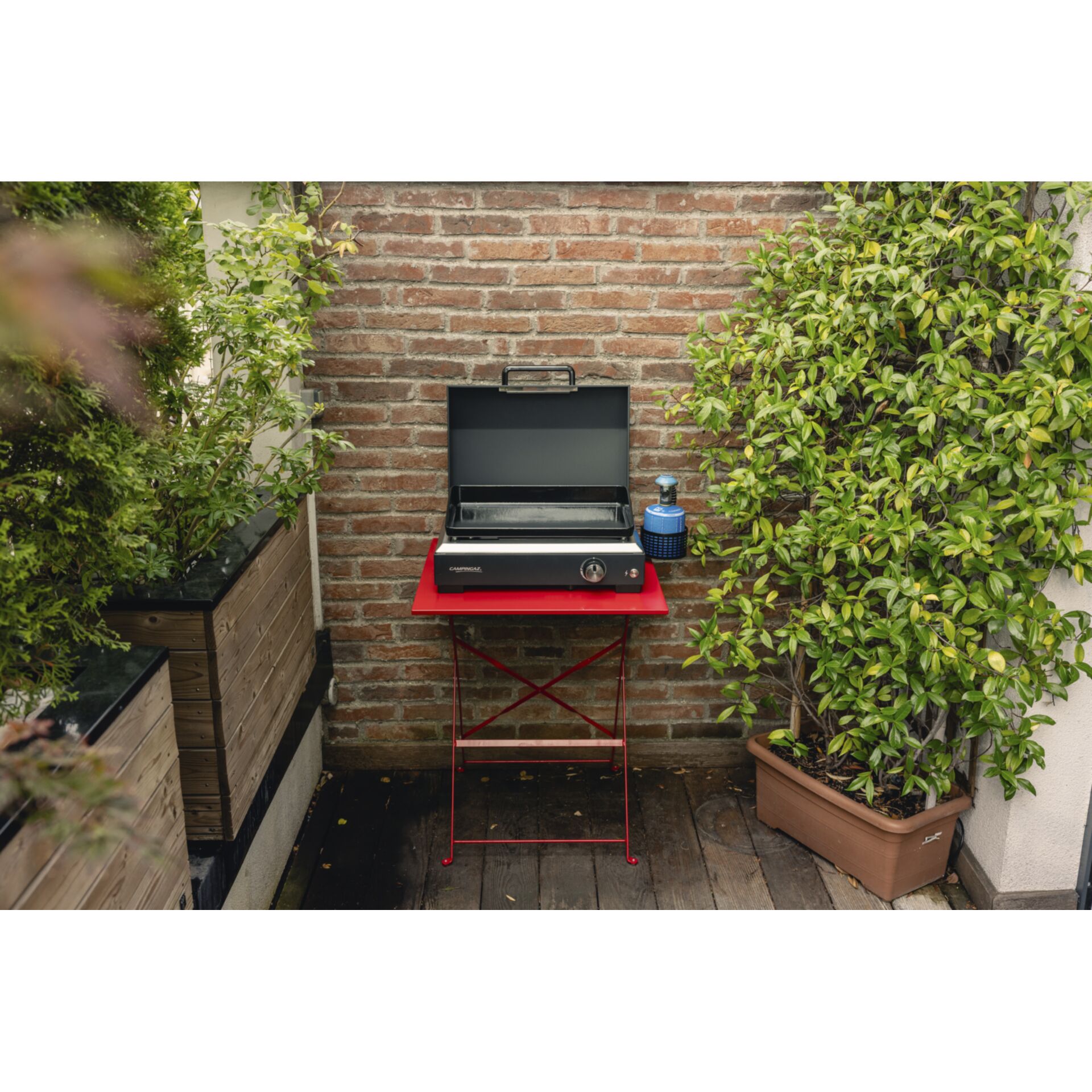 Innenarchitektur, Mobiliar, Tabelle, Schreibtisch, Pflanze