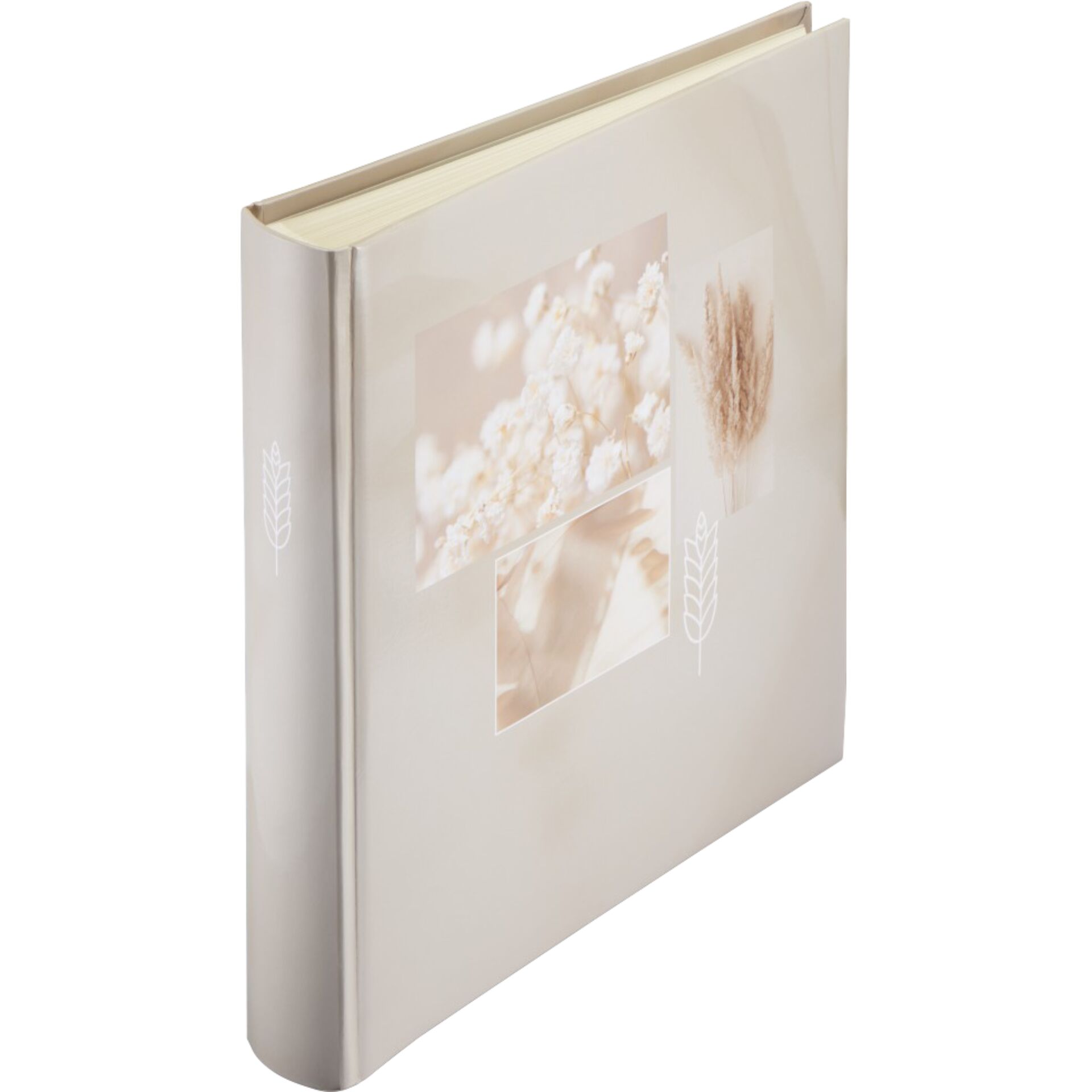 Buch, Veröffentlichung