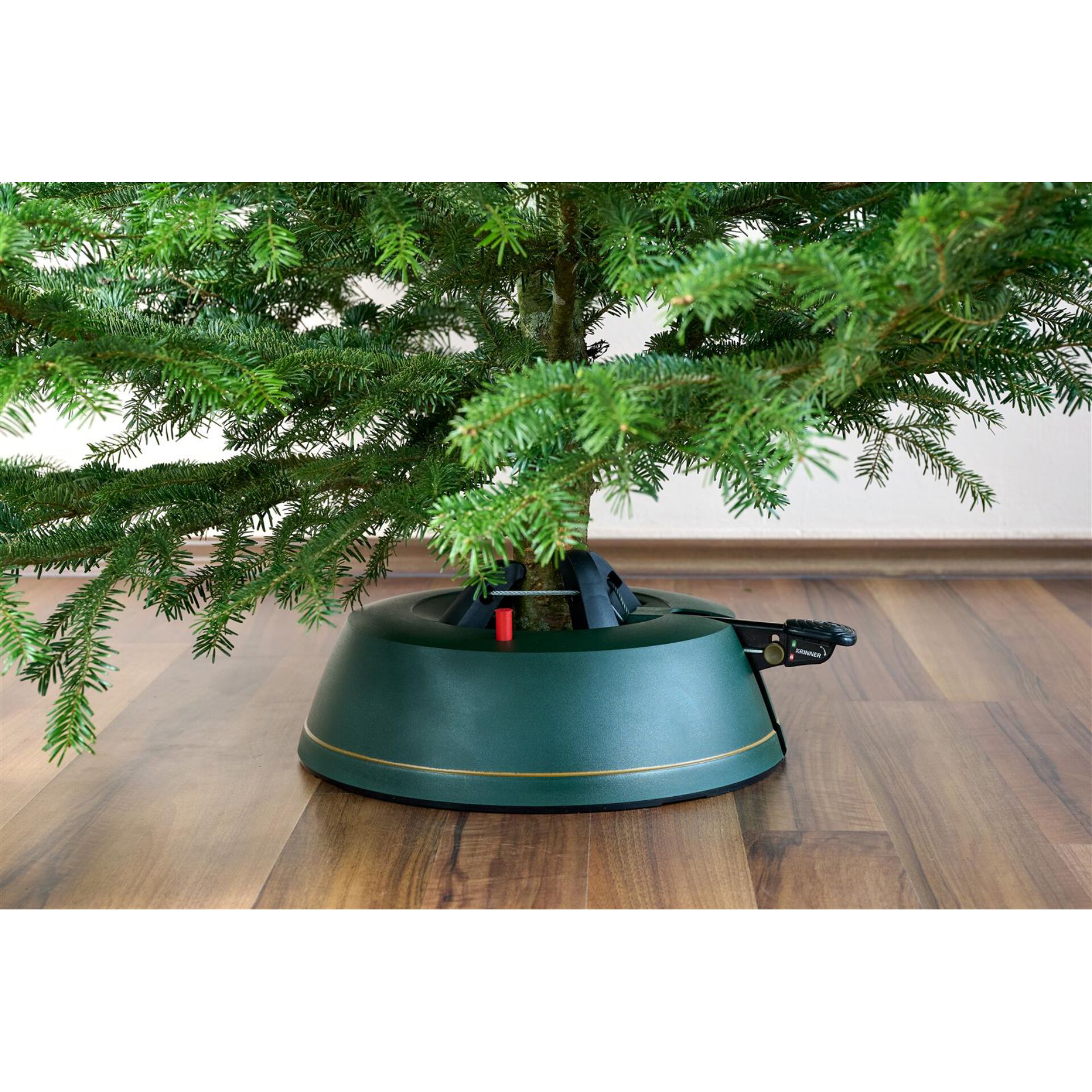 Baum, Topfpflanze, Konifer, Kiefer, Tanne