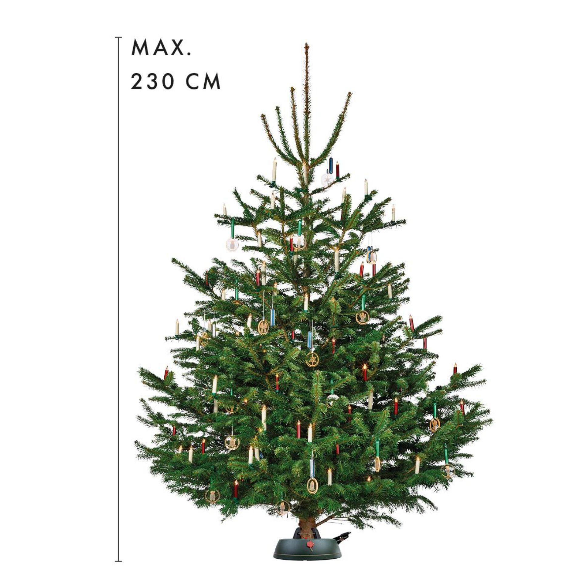 Pflanze, Baum, Kiefer, Weihnachtsdekorationen, Festival