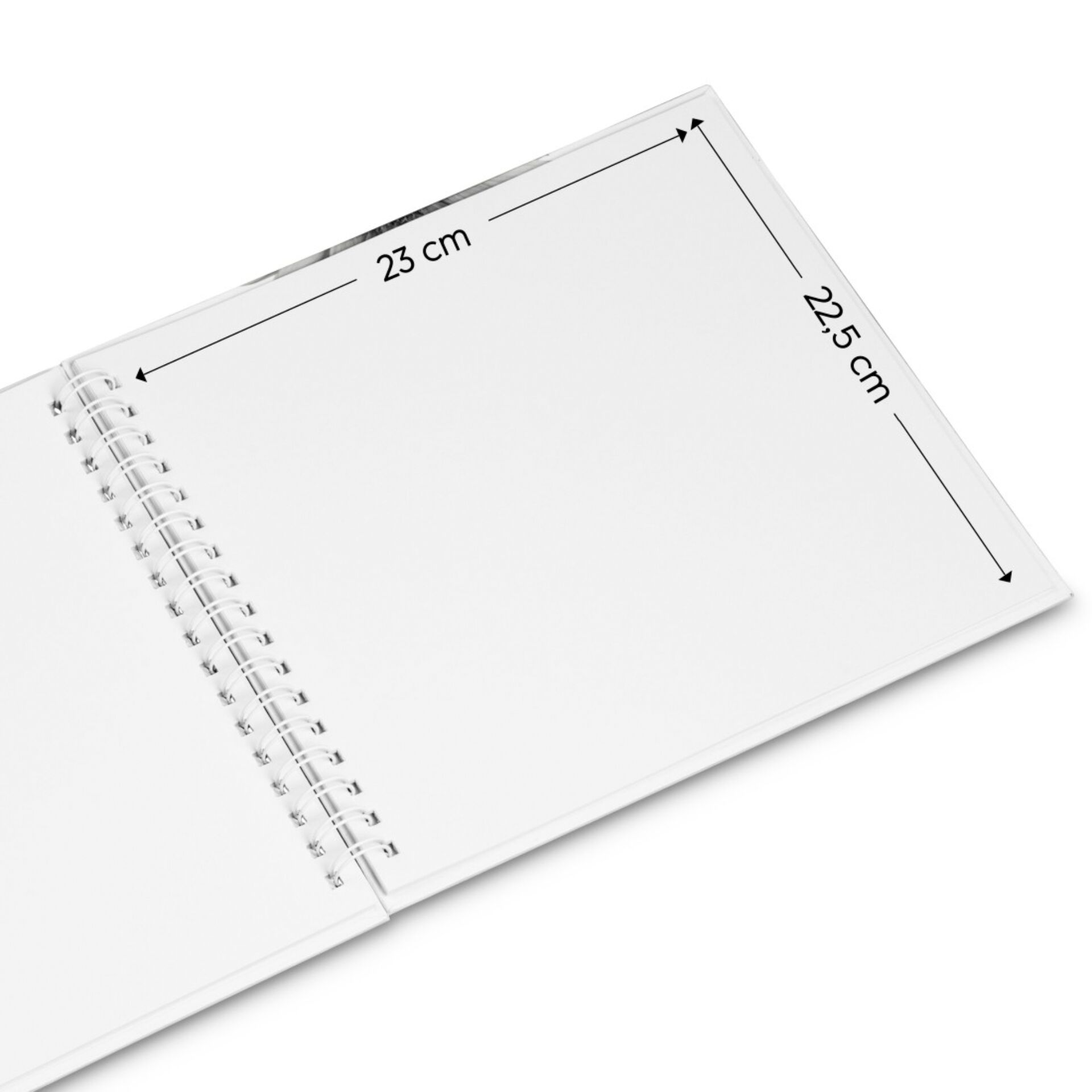 Seite, Text, Weiße Tafel, Seite, Text, Weiße Tafel, Seite, Text, Weiße Tafel, Seite, Text, Weiße Tafel, Seite, Text, Weiße Tafel, Seite, Text, Weiße Tafel, Seite, Text, Weiße Tafel