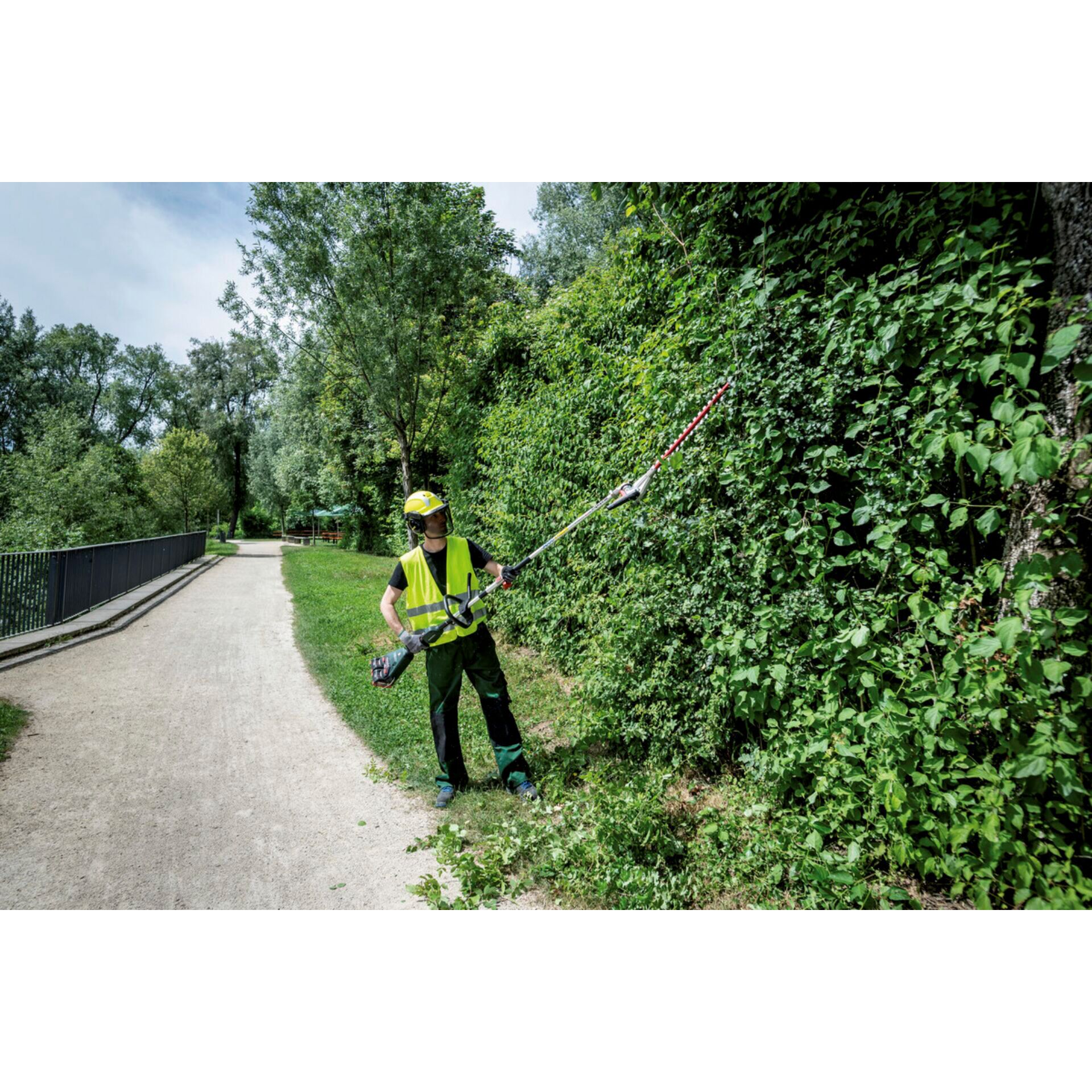 Gras, Rasen, Person, Pfad, Bewuchs