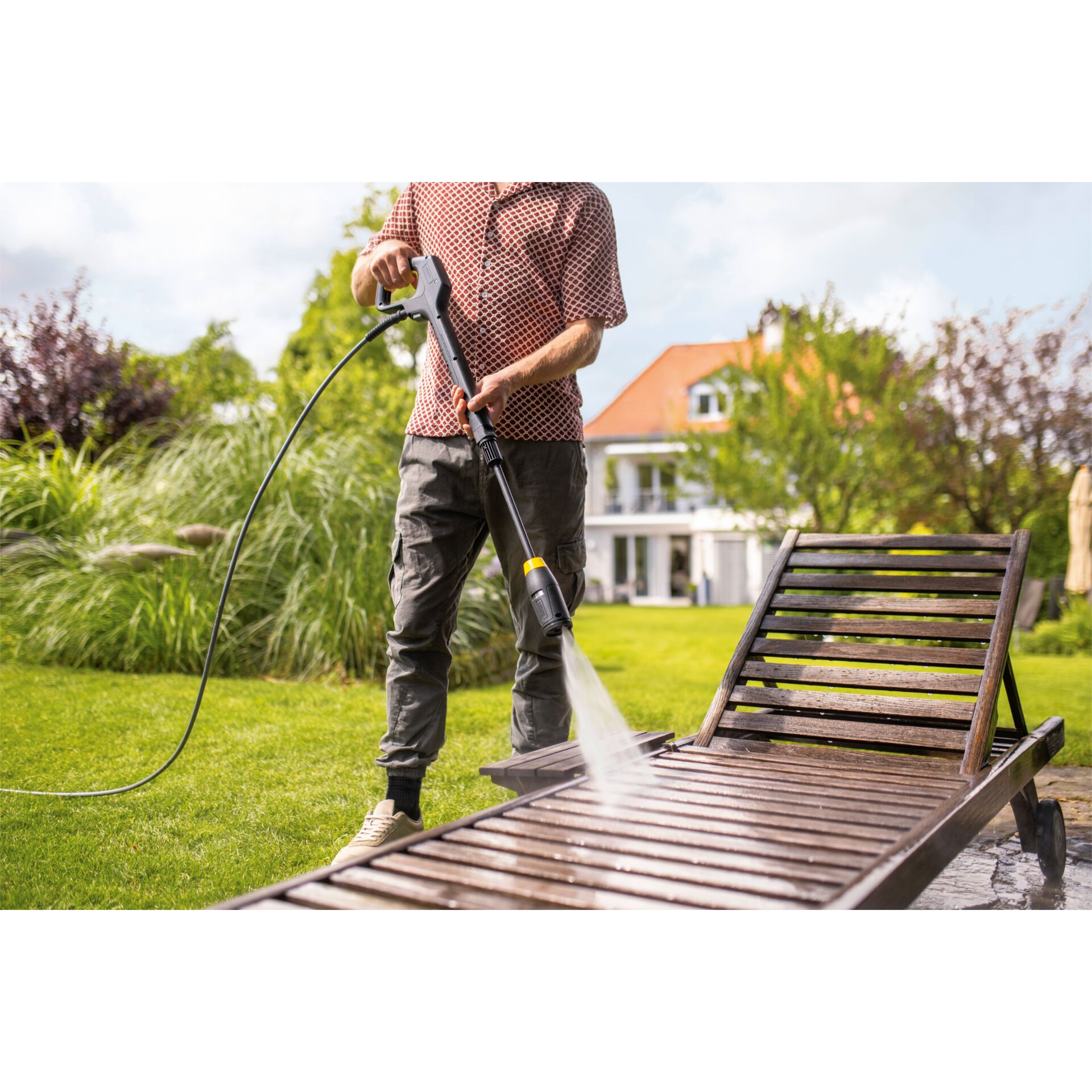 Gras, Pflanze, Drinnen, Innenarchitektur