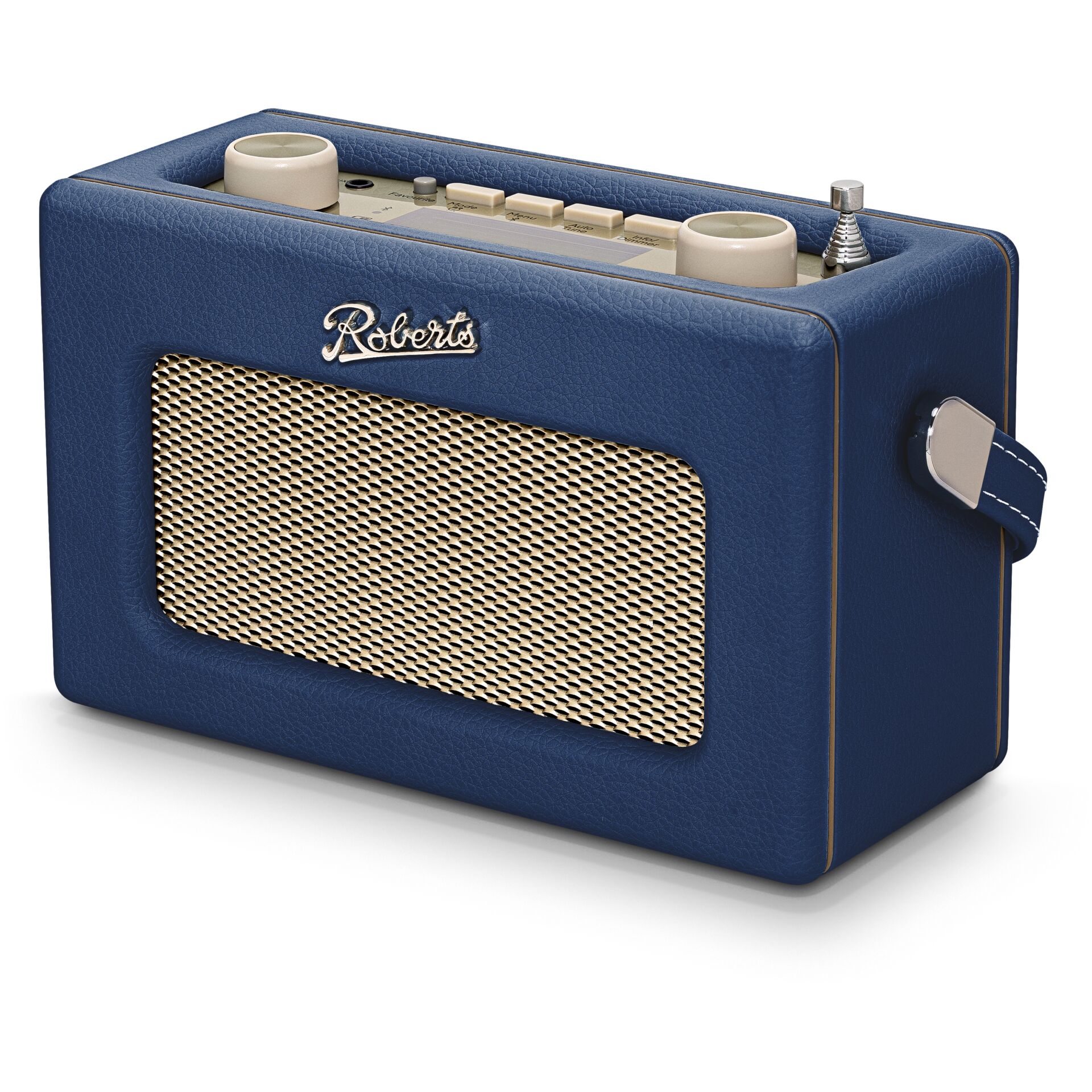 portabler Lautsprecher, Bluetooth-Lautsprecher, blaues Leder, goldenes Gitter, Trageschlaufe