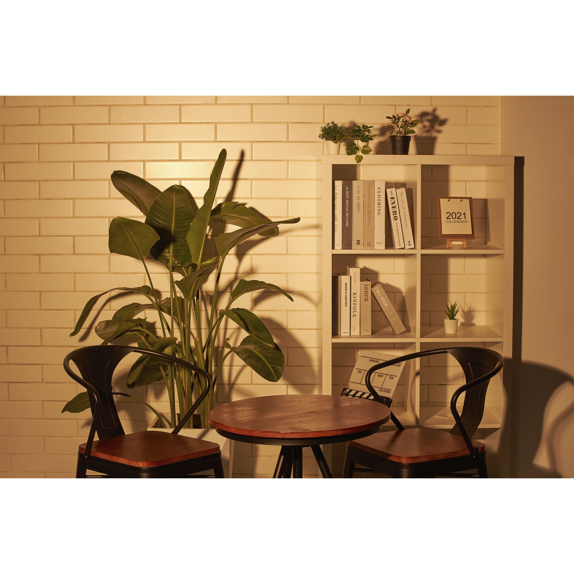 Innenarchitektur, Mobiliar, Tabelle, Stuhl, Pflanze