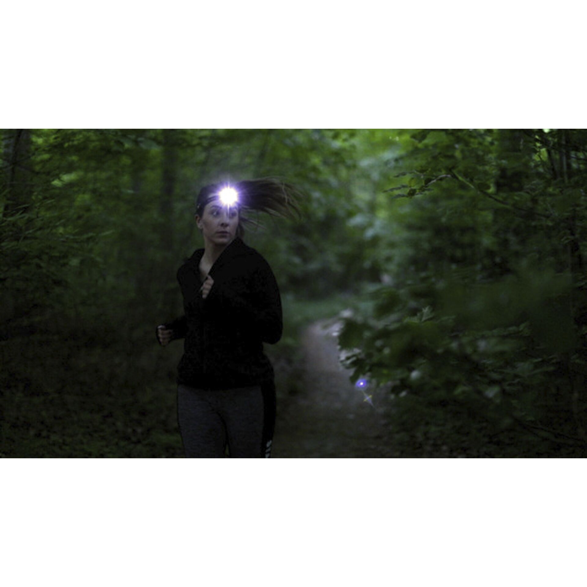 Pflanzenwuchs, Fotografie, Wald, Pfad, Portrait