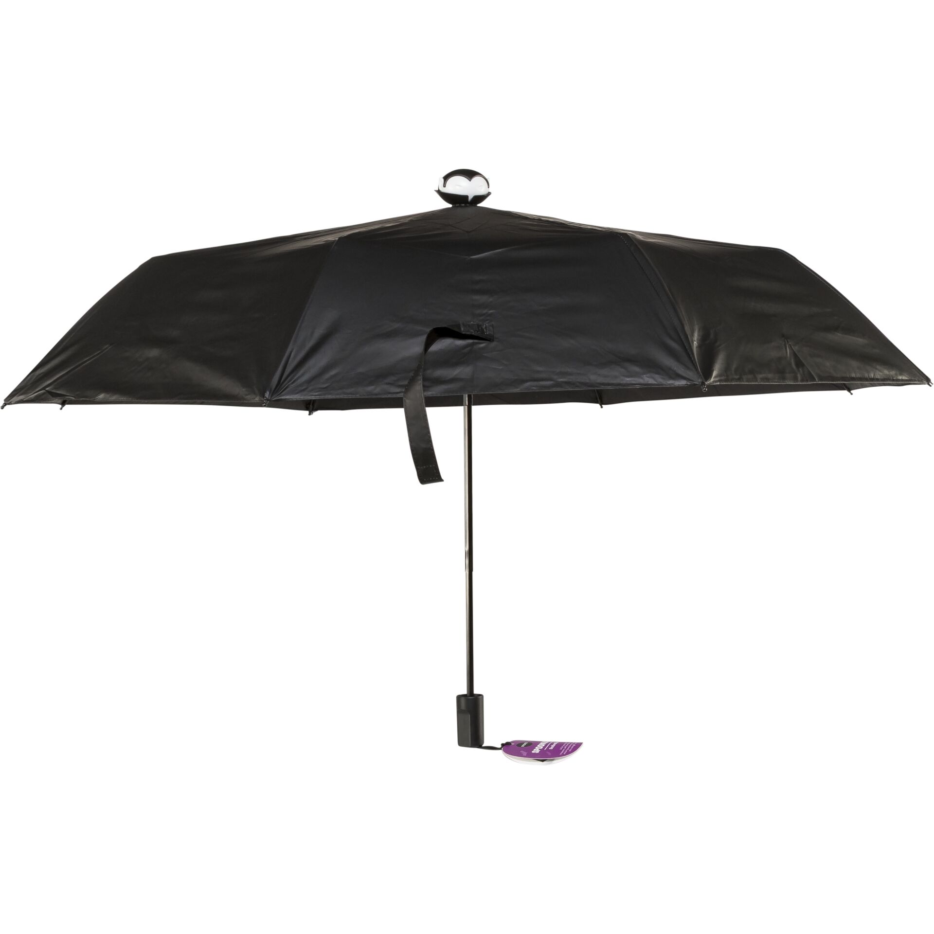 Baldachin, Regenschirm