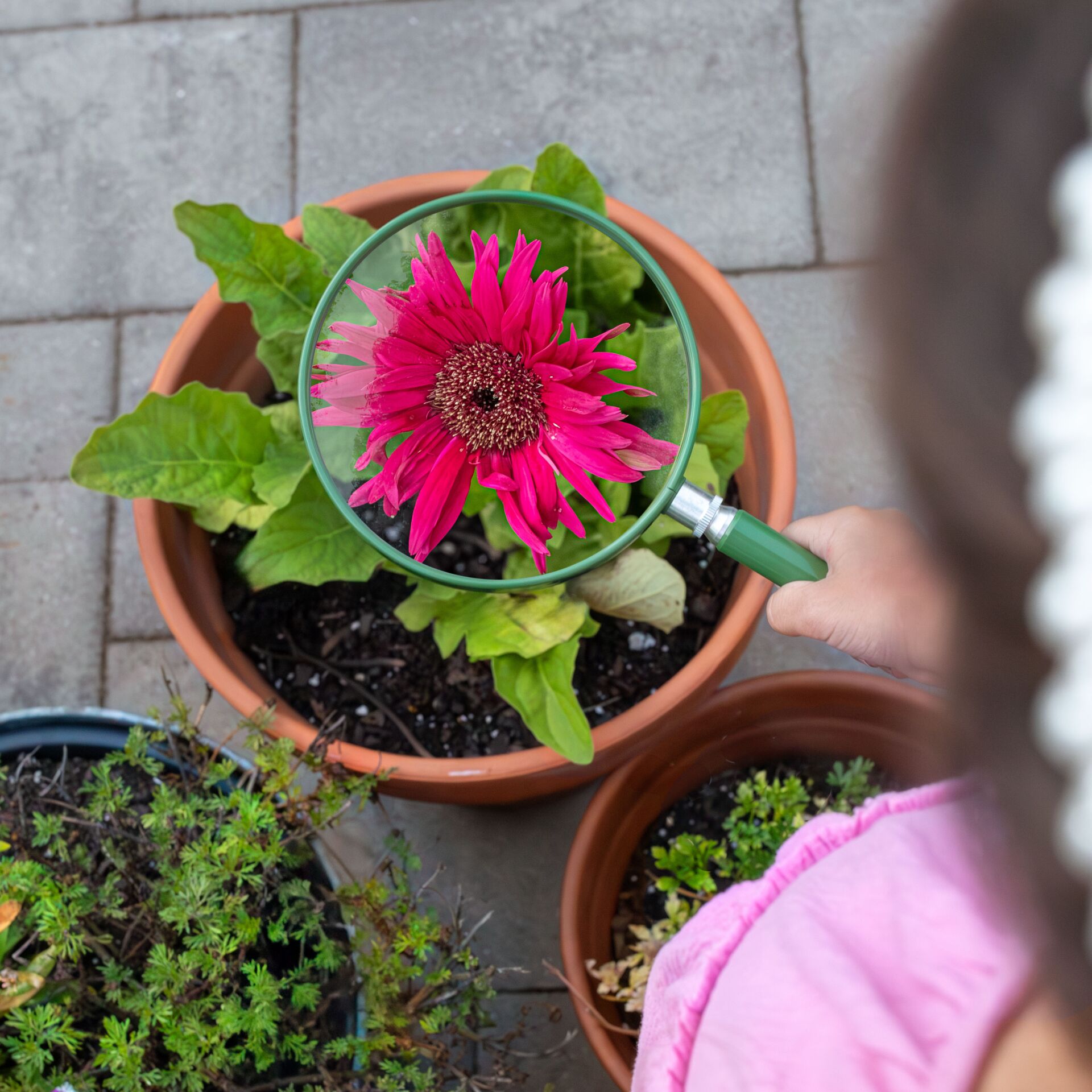 Kräuterig, Pflanzgefäß, Topfpflanze, Töpferei, Vase, Kräuter, Pflanzgefäß, Topfpflanze, Töpferei, Vase