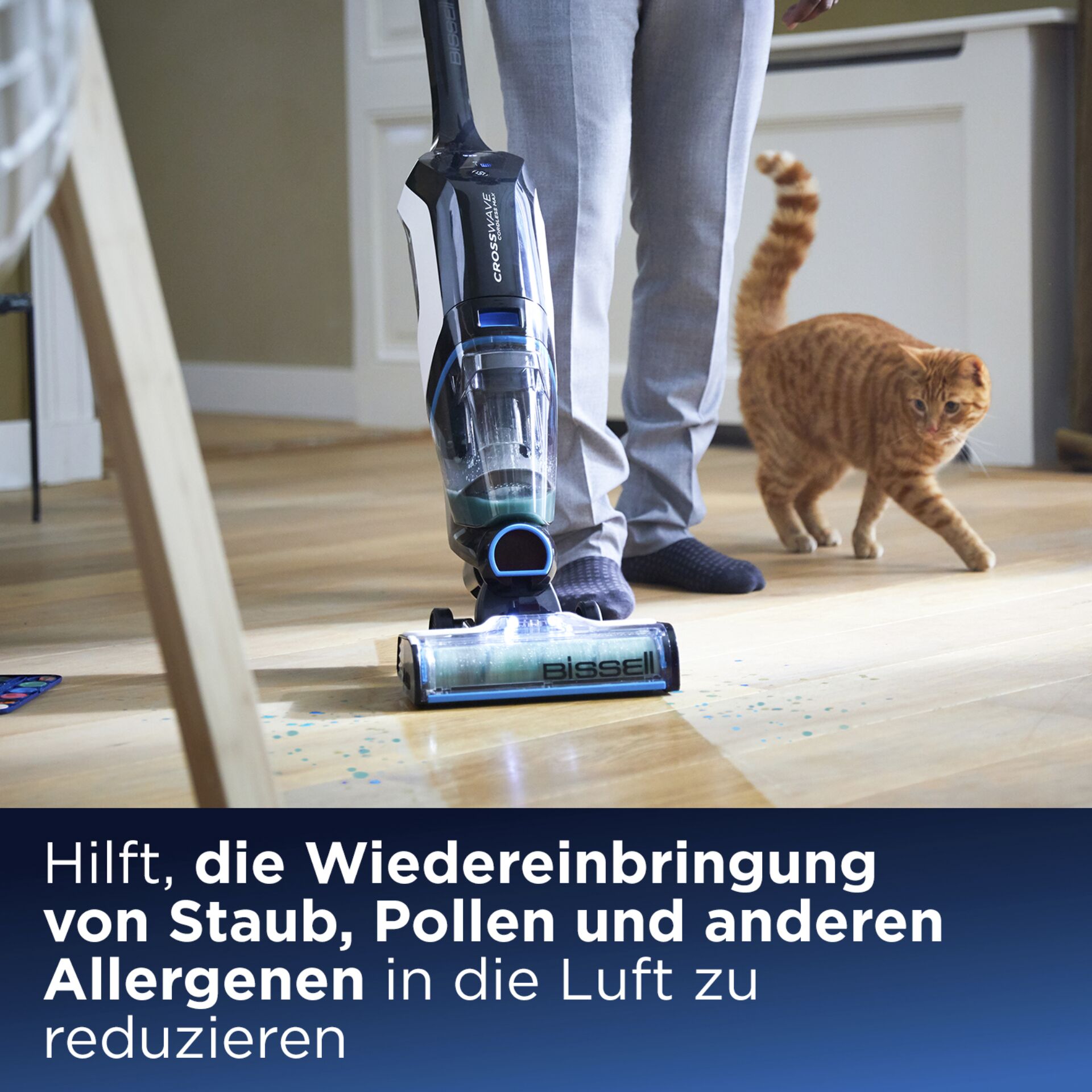 Holz, Gerät, Elektrisches Gerät, Katze