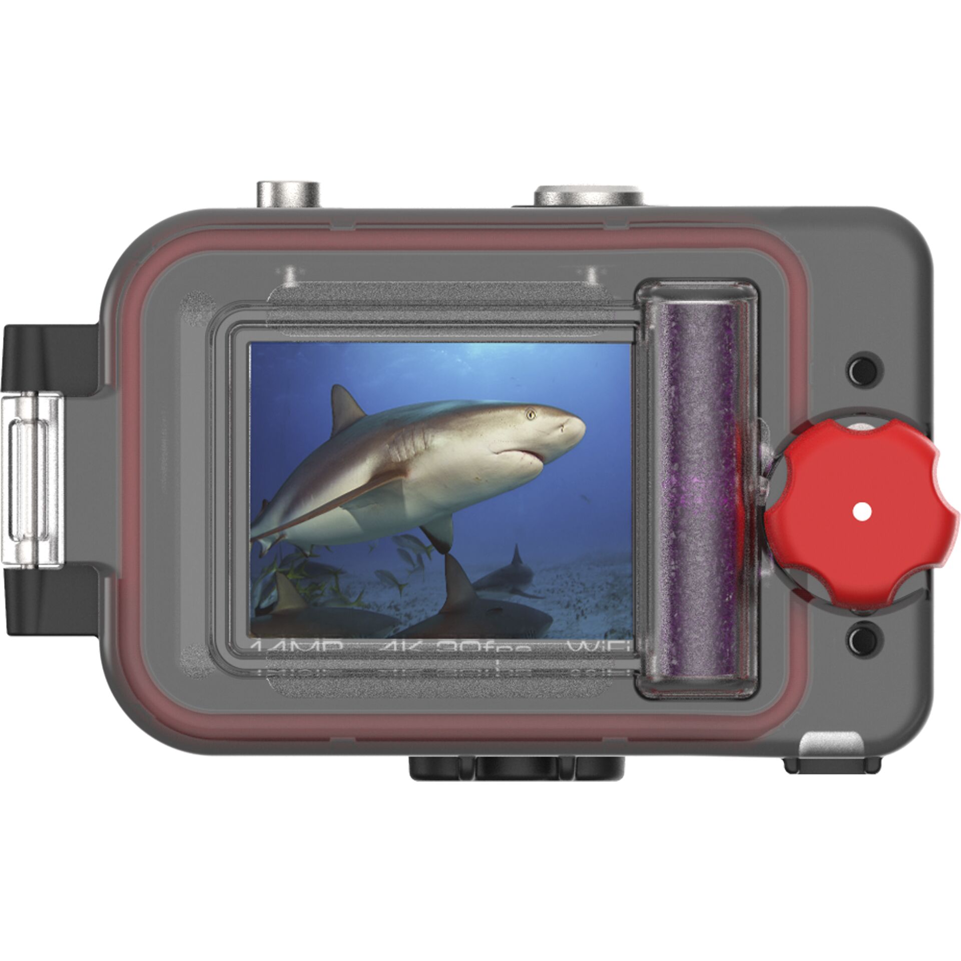 Kamera, Digitale Kamera, Elektronik, Hai, Videokamera