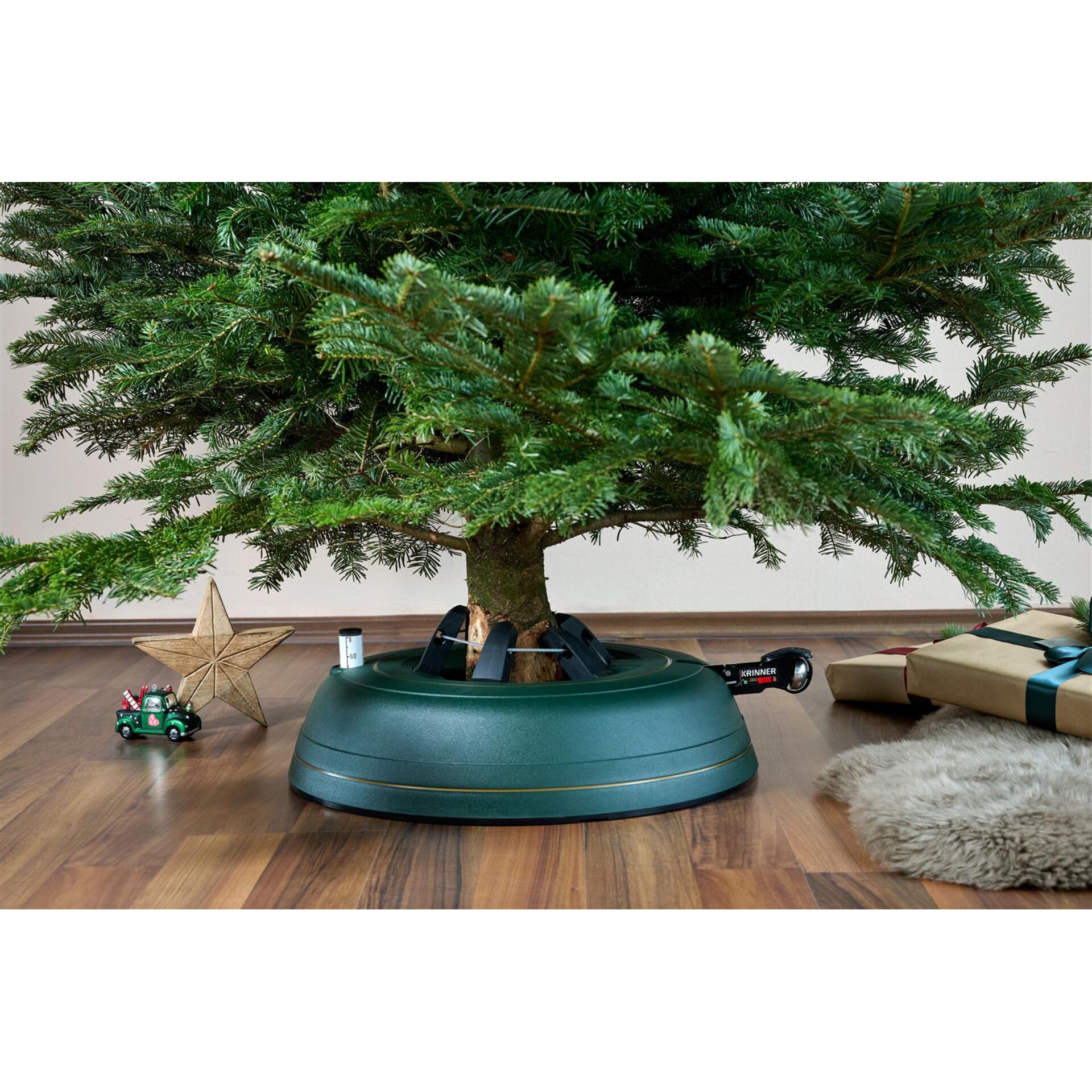 Baum, Topfpflanze, Konifer, Innenarchitektur, Tanne