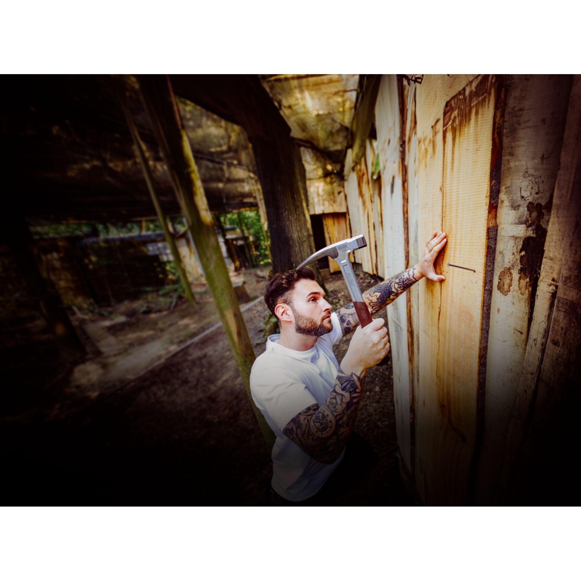 Photographie, Portrait, Innenarchitektur, Holz, Axt