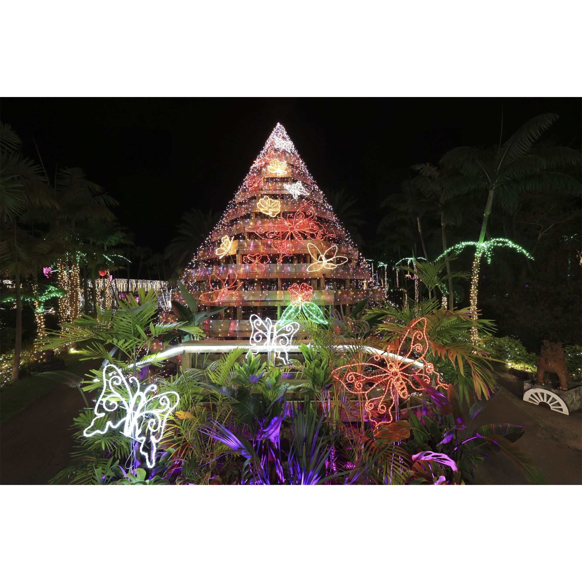 Garten, Natur, Draußen