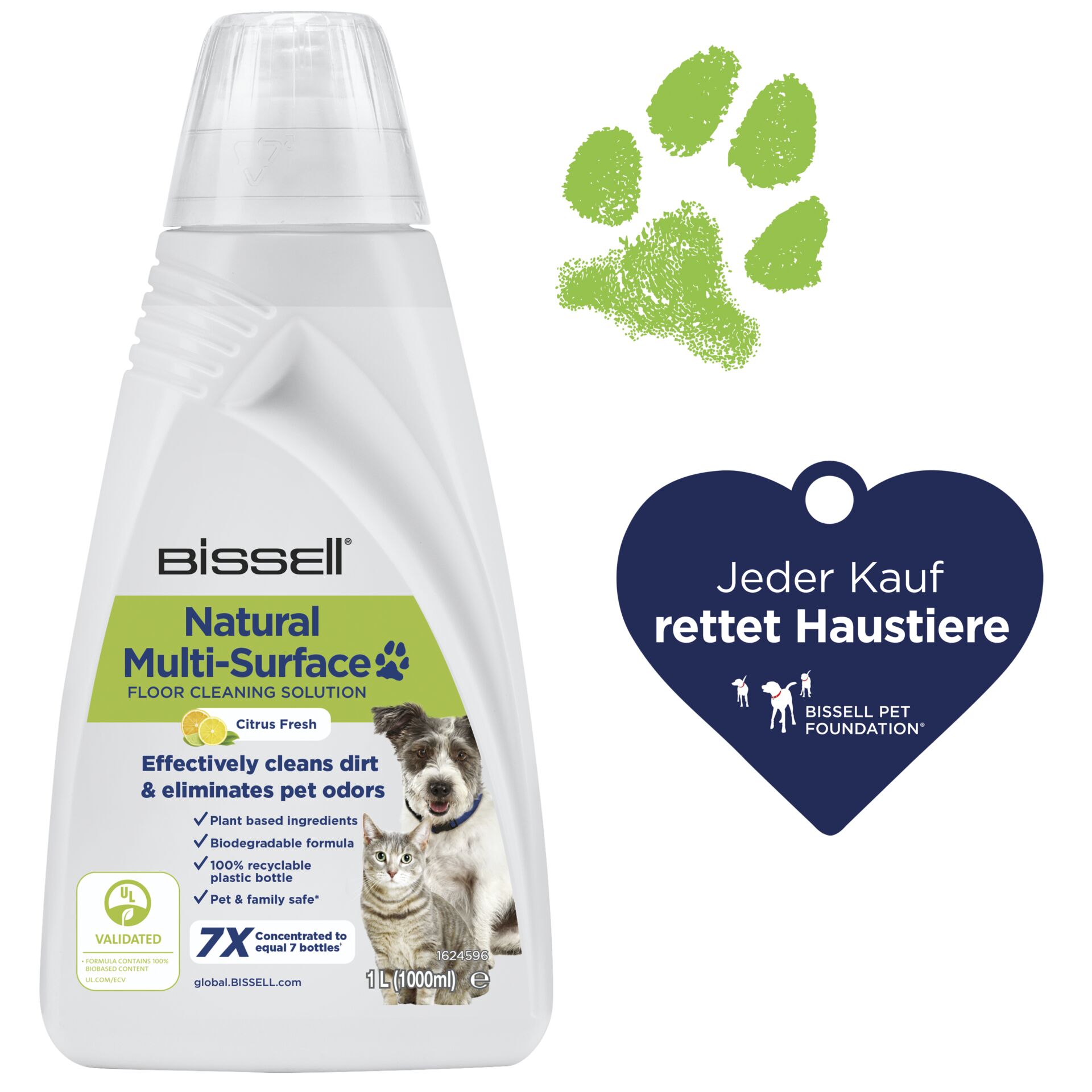 Flasche, Kräuterig, Pflanze, Katze, Haustier