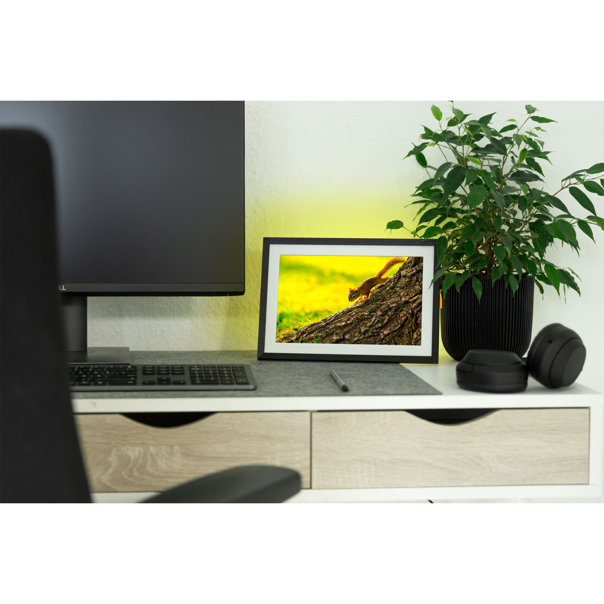 Computer, Tabelle, Pc, Topfpflanze, Schreibtisch, Computer, Tabelle, Pc, Topfpflanze, Schreibtisch