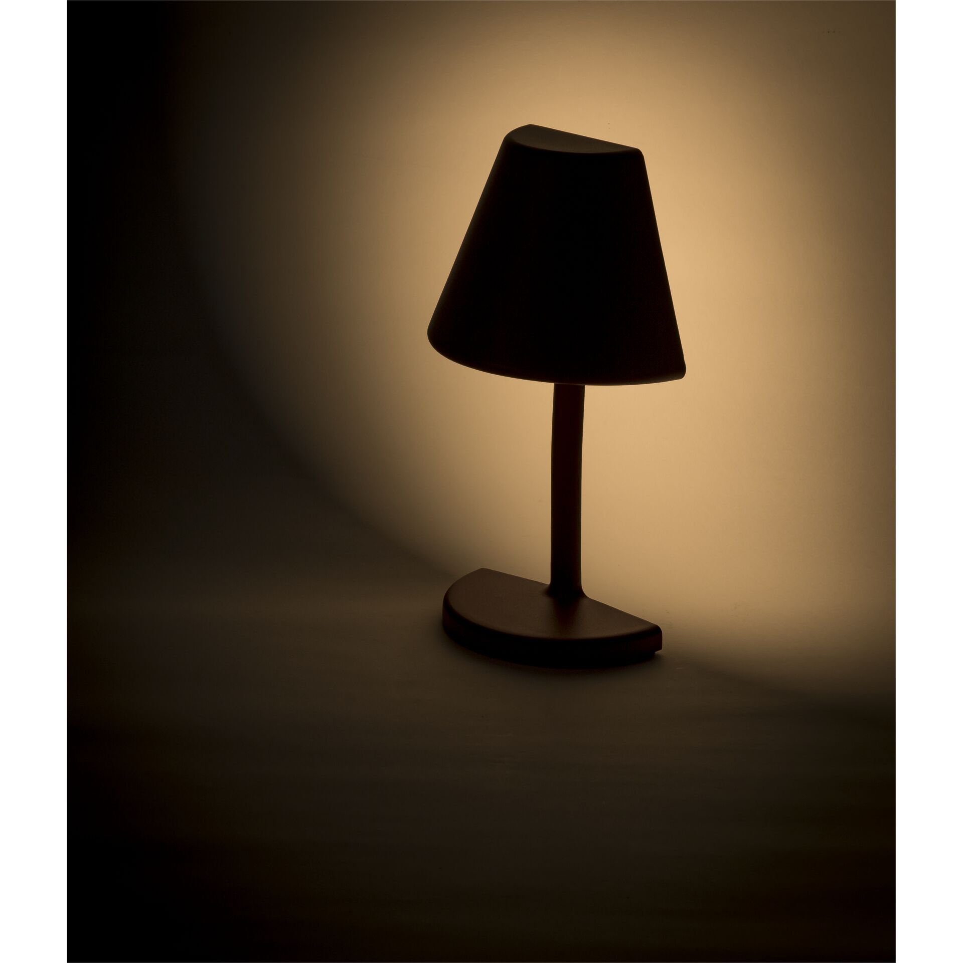 Lampe, Lampenschirm